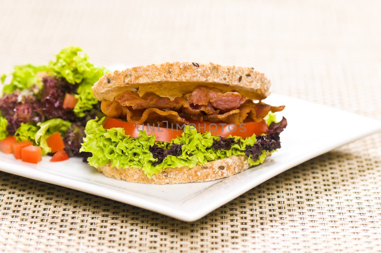 Close-up shoot of a Sandwich with rich Salad in simple setting