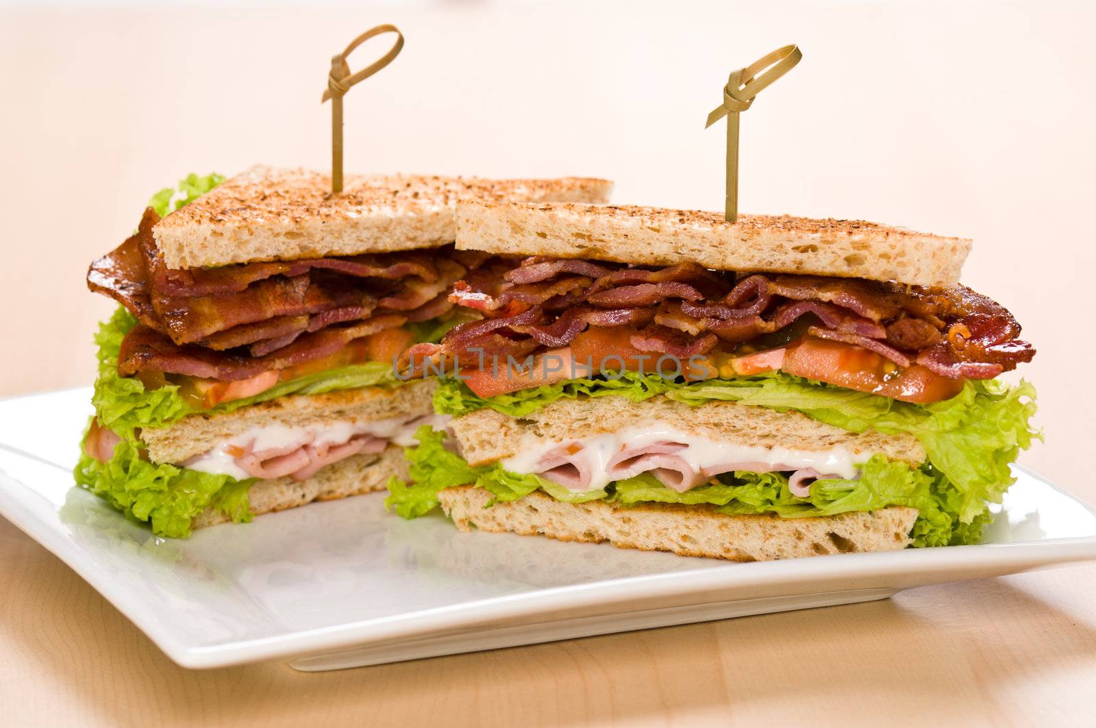 Two sandwich on a plate with room for text and on a wooden table