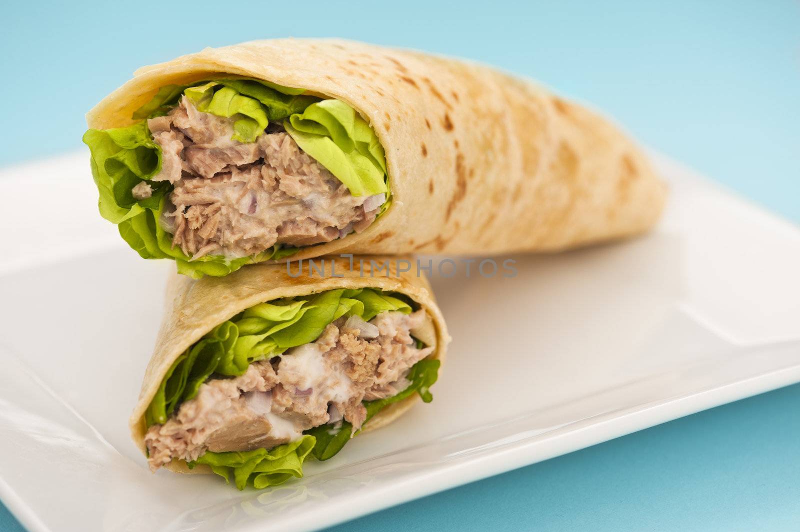 Two tuna melt wrap on a white plate on a blue background