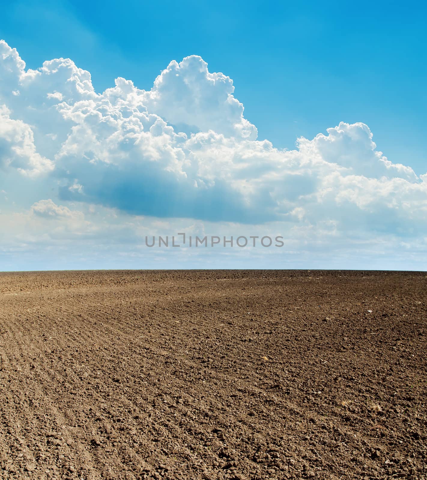 blue cloudy sky and black plowed field by mycola