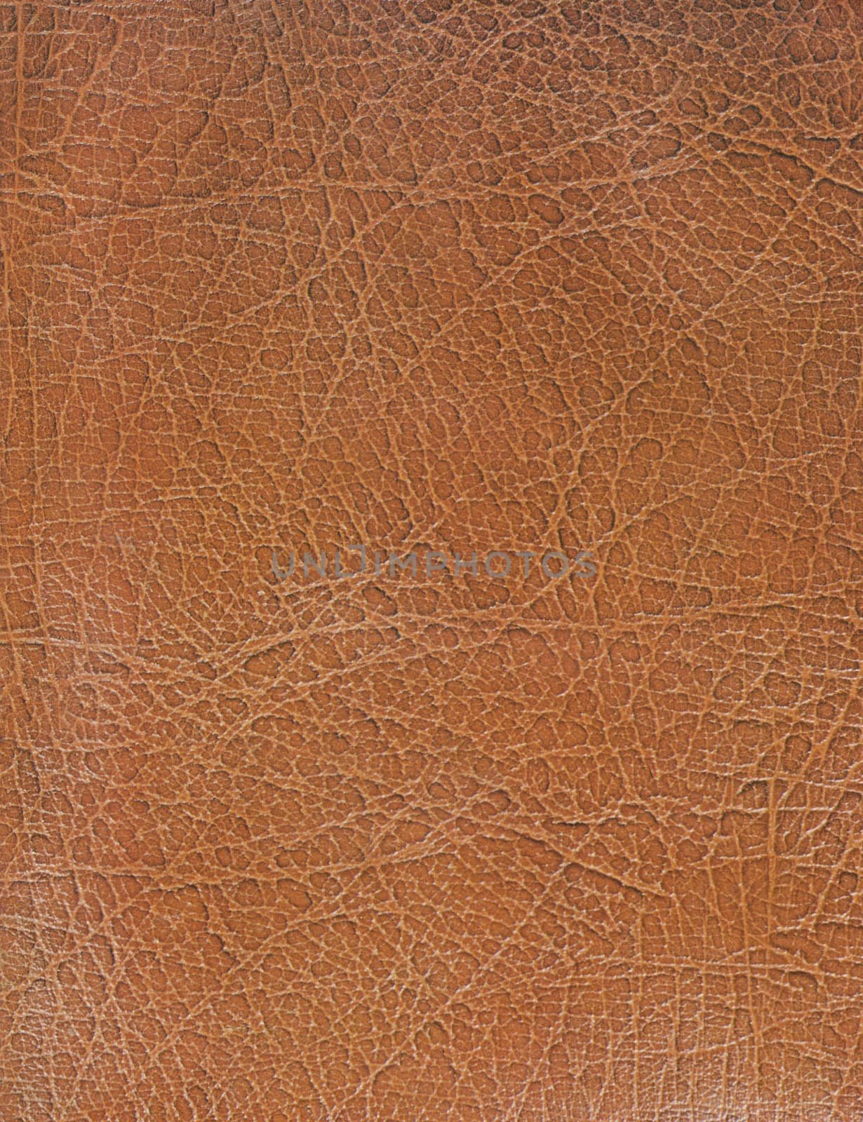 High resolution brown leather texture