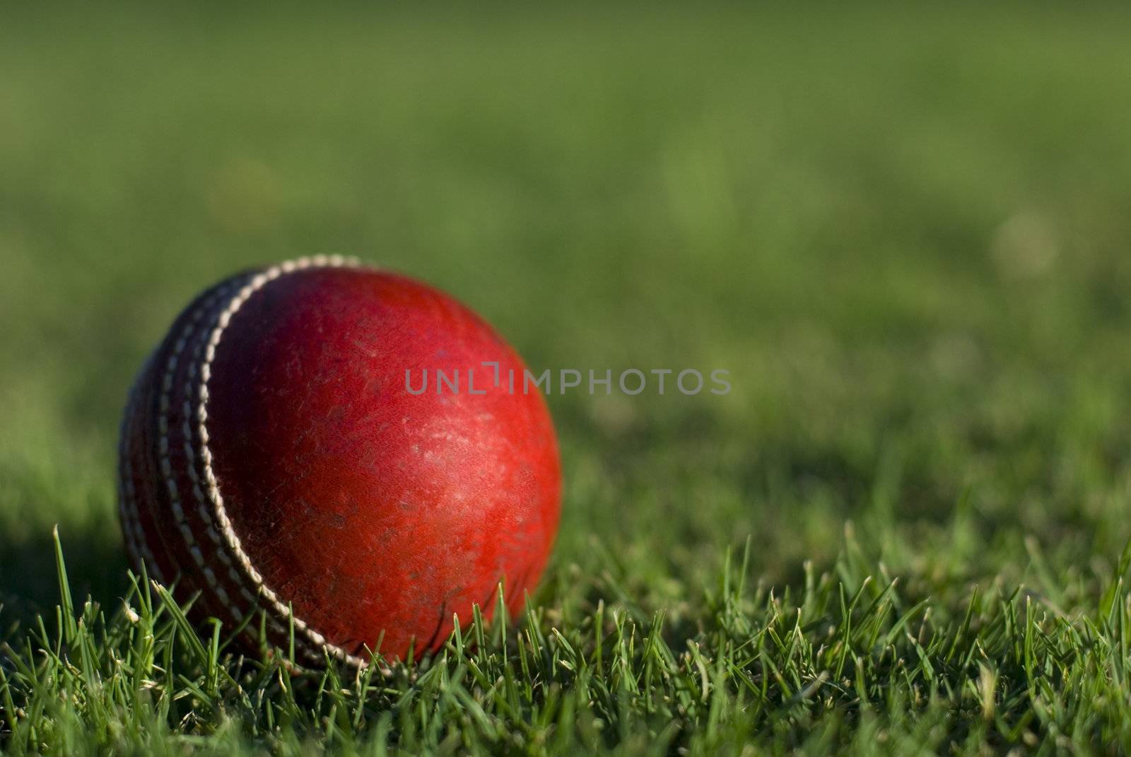 Red Cricket Ball On Grass by stockarch
