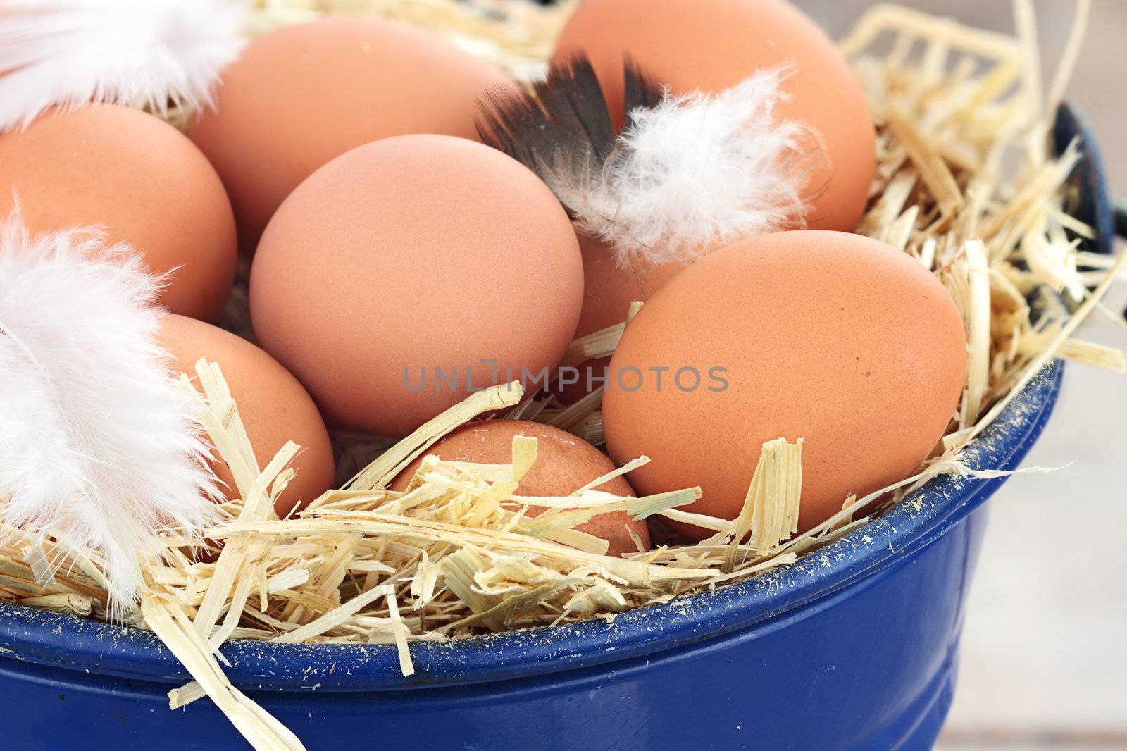 Fresh free range eggs in a nest of straw. 

