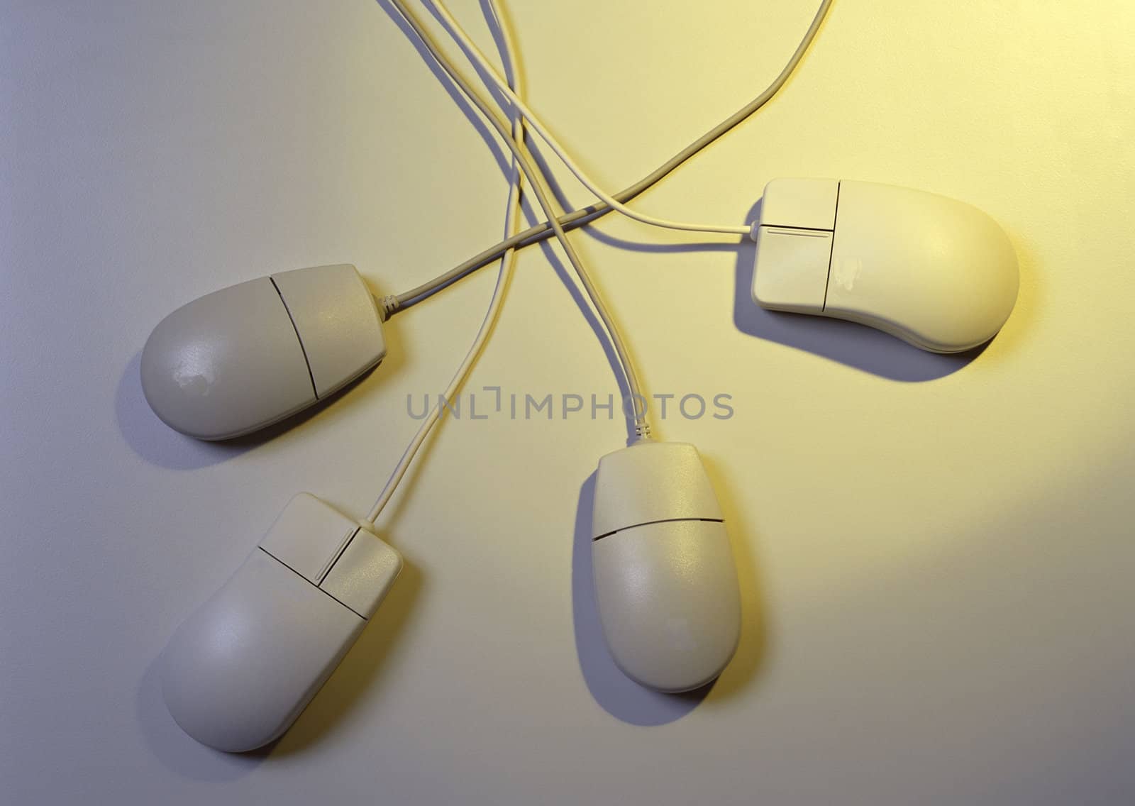 A wired computer mouses
