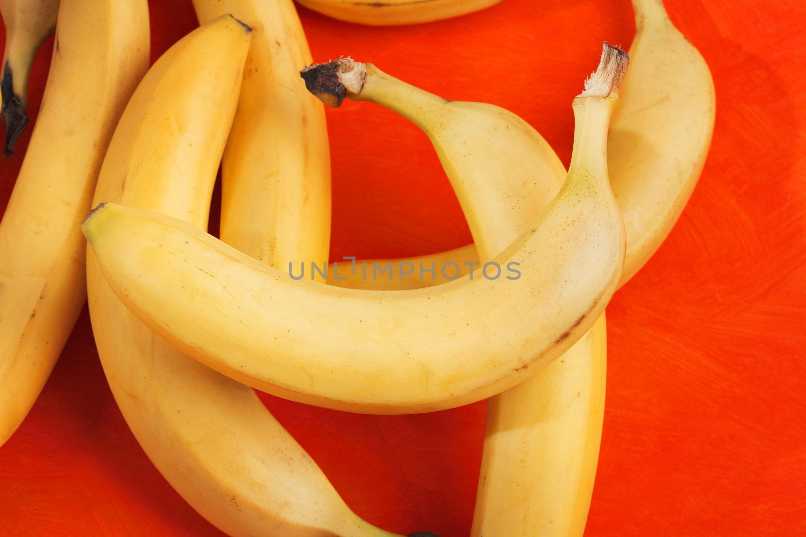 Bananas on a yellow background