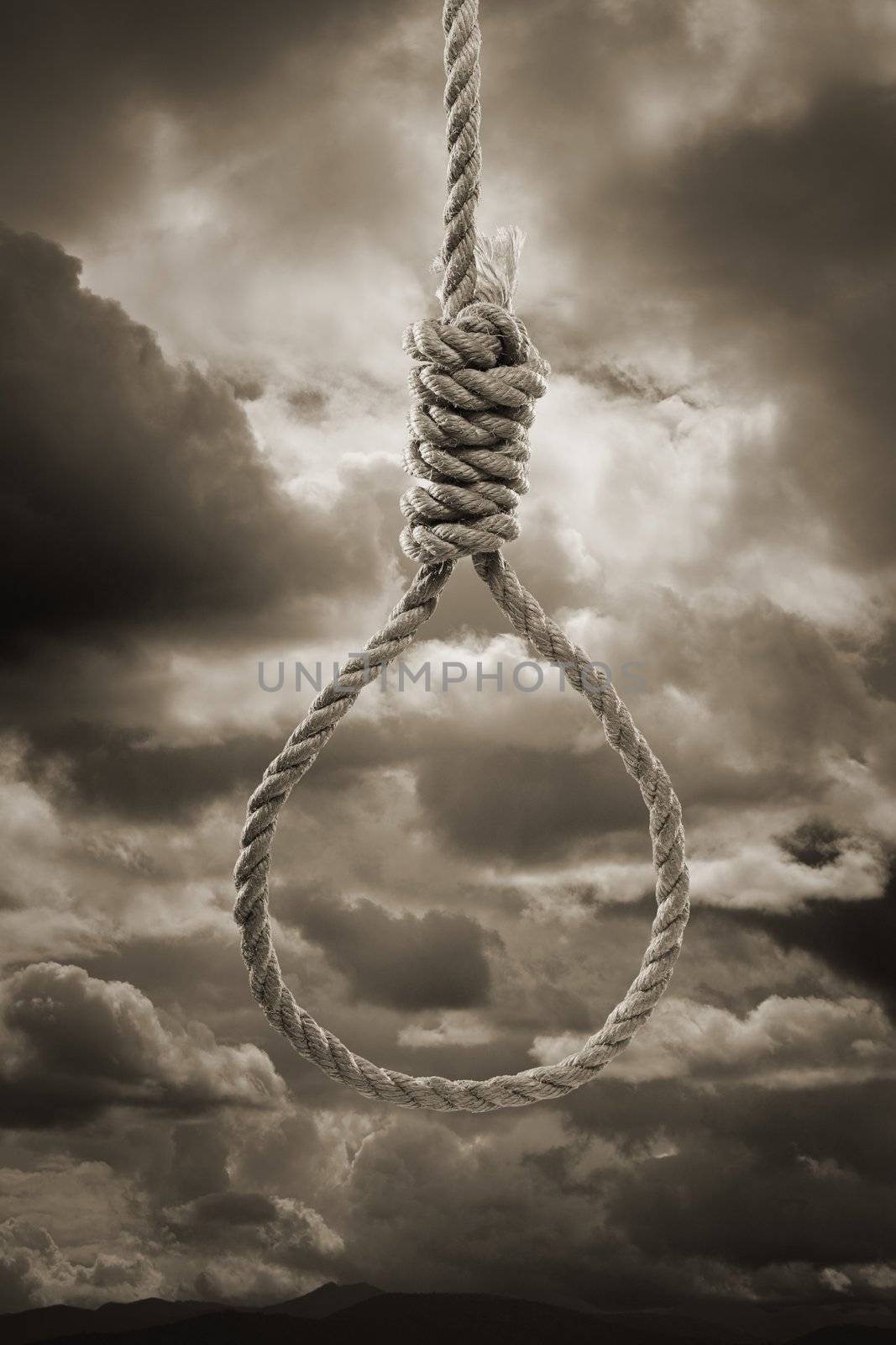 Noose by Stocksnapper