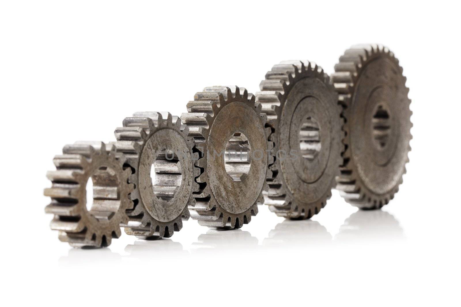 A Row of old cog gear wheels in different sizes.