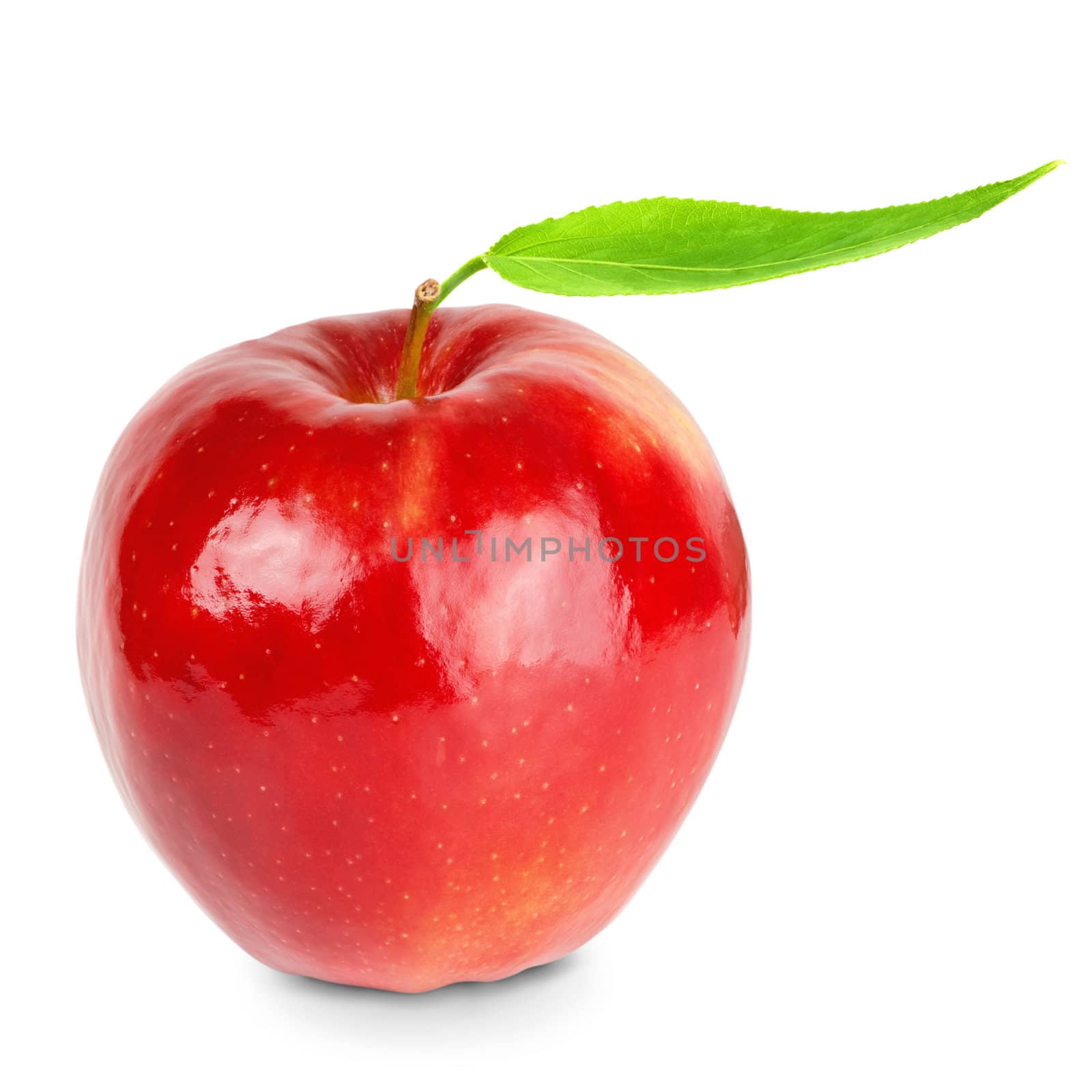 Red ripe apple over th white background