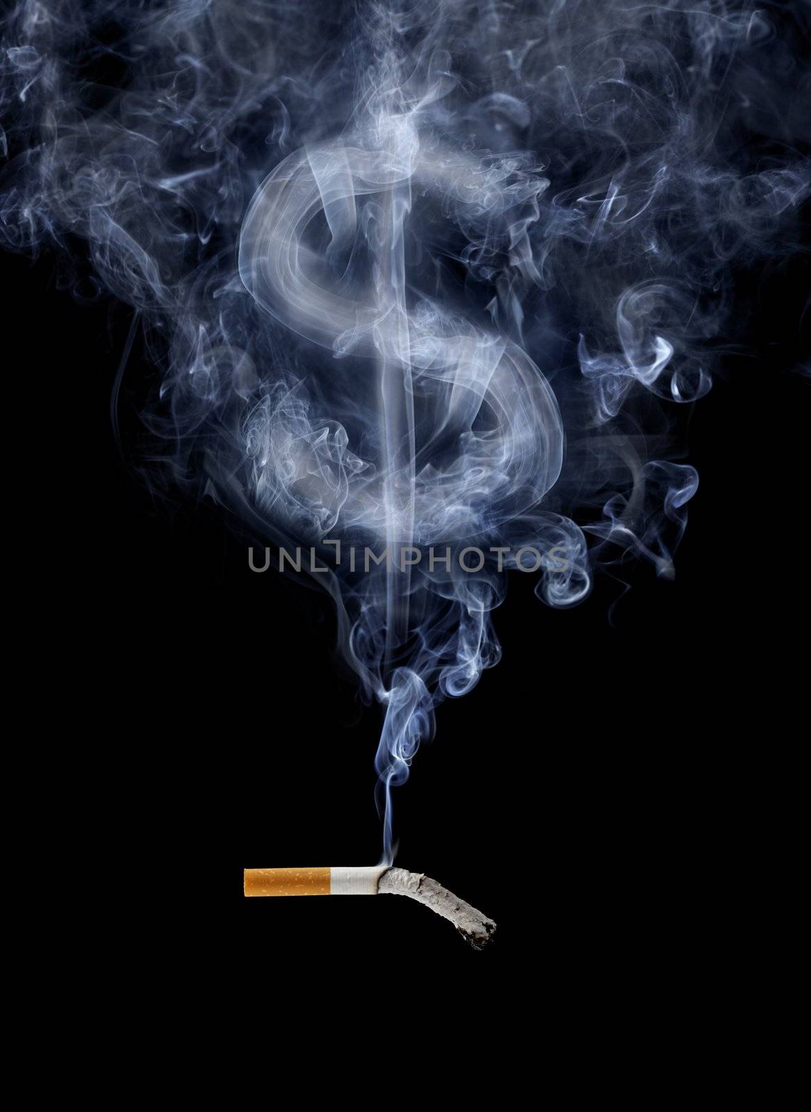 Cigarette with smoke shaped like a dollar sign.
