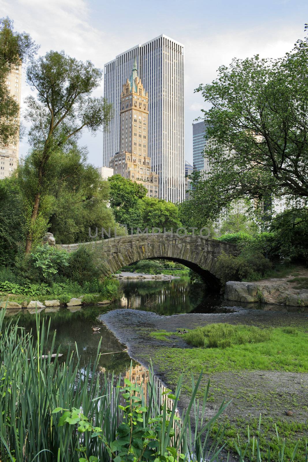 Gapstow bridge in Central Park. Central Park is a public park at the center of Manhattan, New York City, USA.