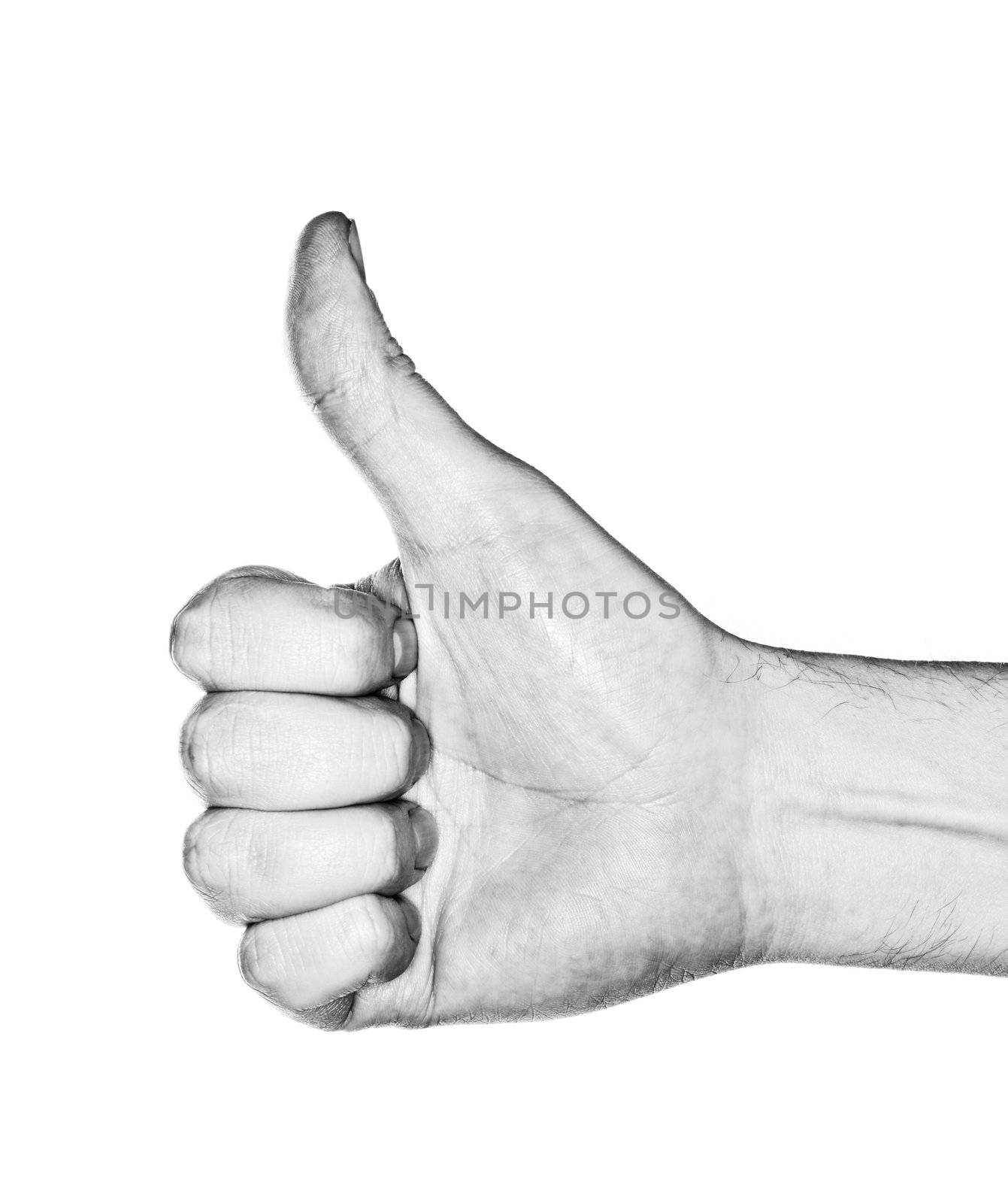 Thumb Up by Stocksnapper