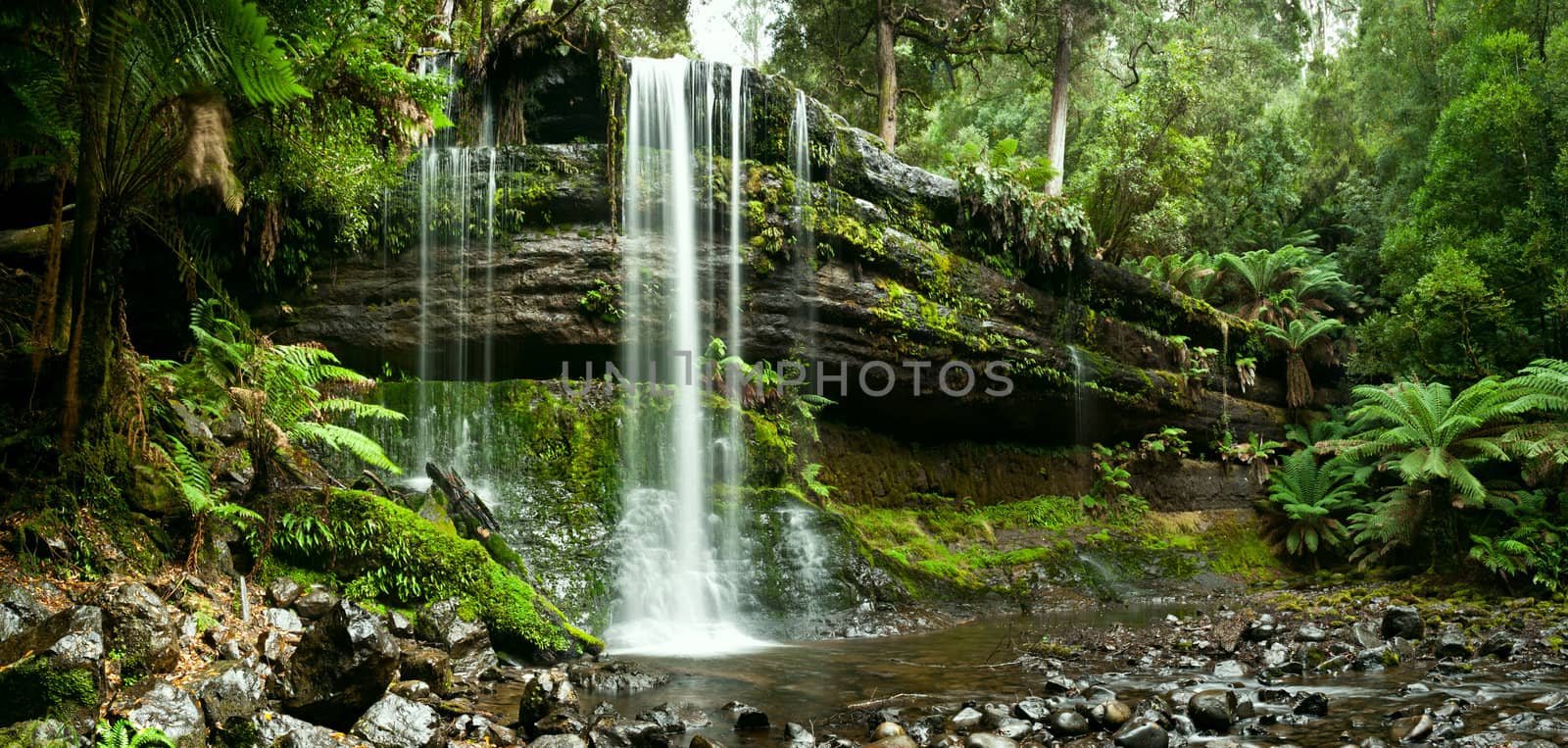 Russell Falls, Mount Field National Park, Central Tasmania  by 3523Studio