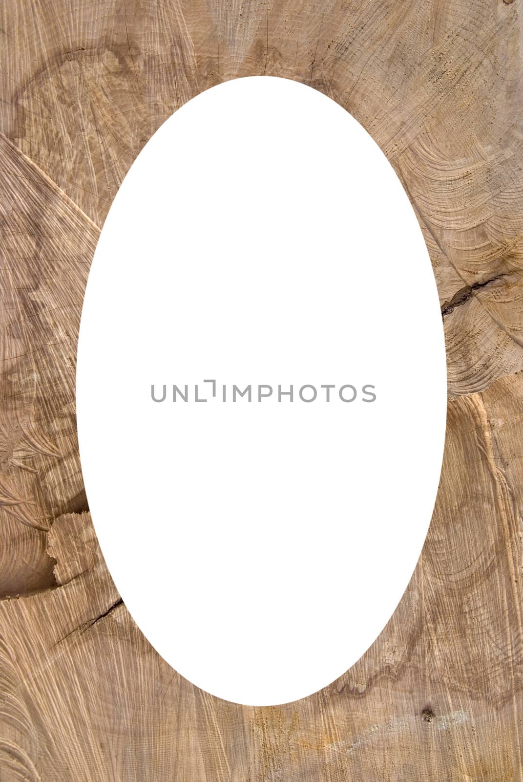 Background of truncated wood trunk section texture. Isolated white oval place for text photograph image in center of frame.