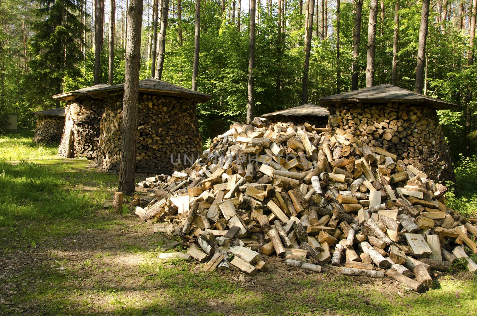 Small woodshed roof under stacked firewood. Pile of chopped wood near forest trees.