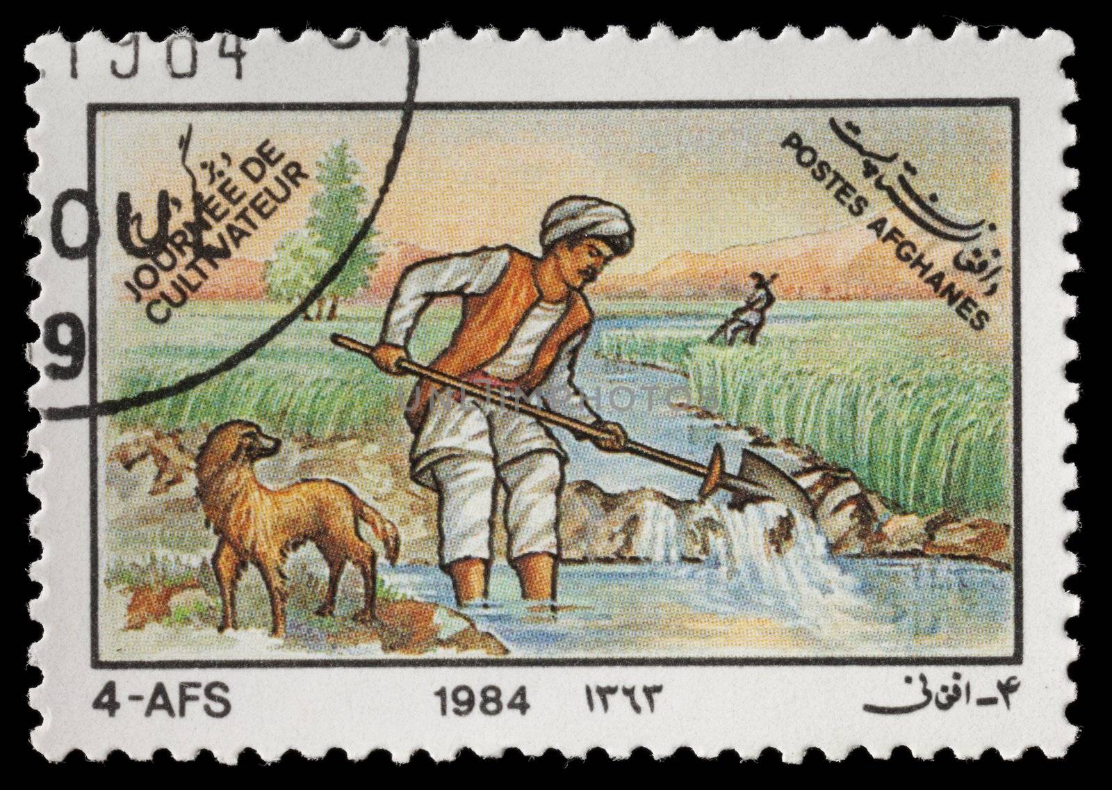 AFGHANISTAN - CIRCA 1984: A Stamp depicting agricultural activities. circa 1984 in Afghanistan.