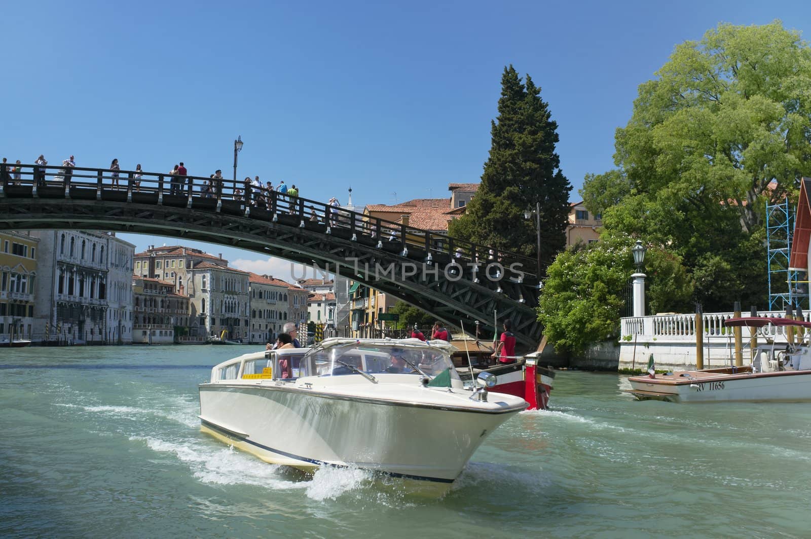 Ponte dell'Accademia by Stocksnapper