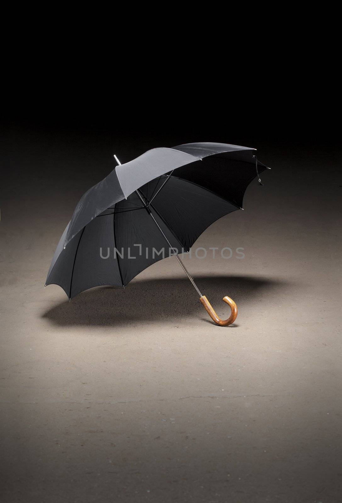 Umbrella by Stocksnapper
