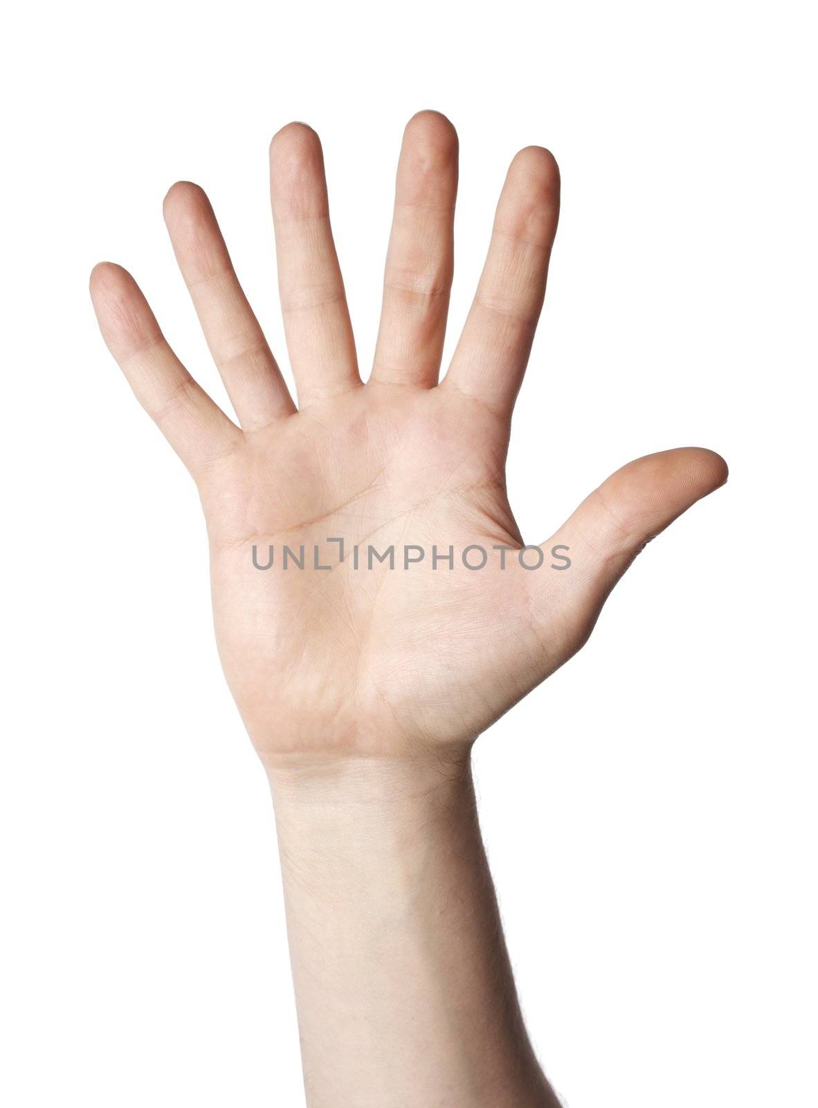 Hand with 6 fingers on white background