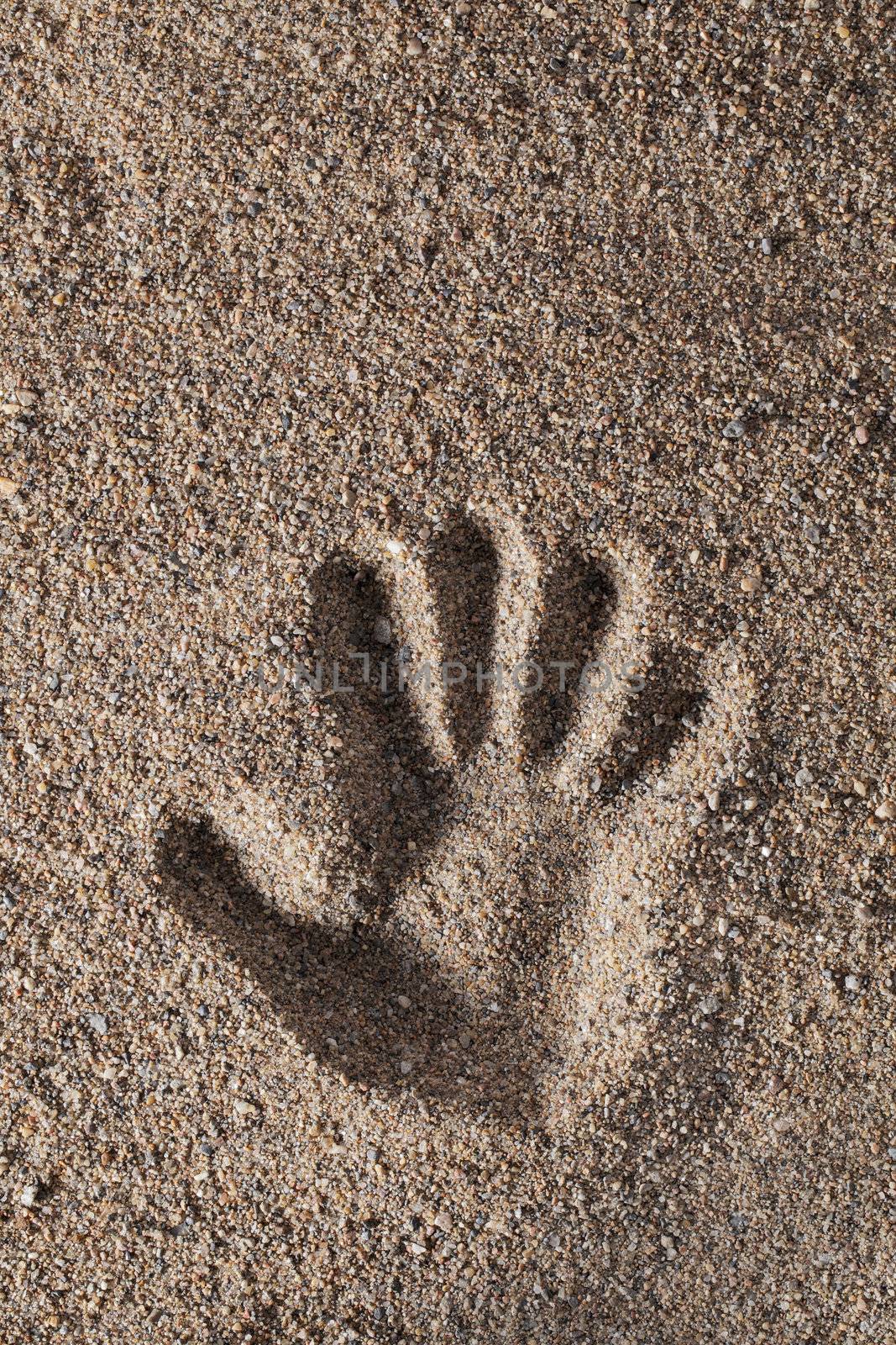 Hand print in coarse sand.
