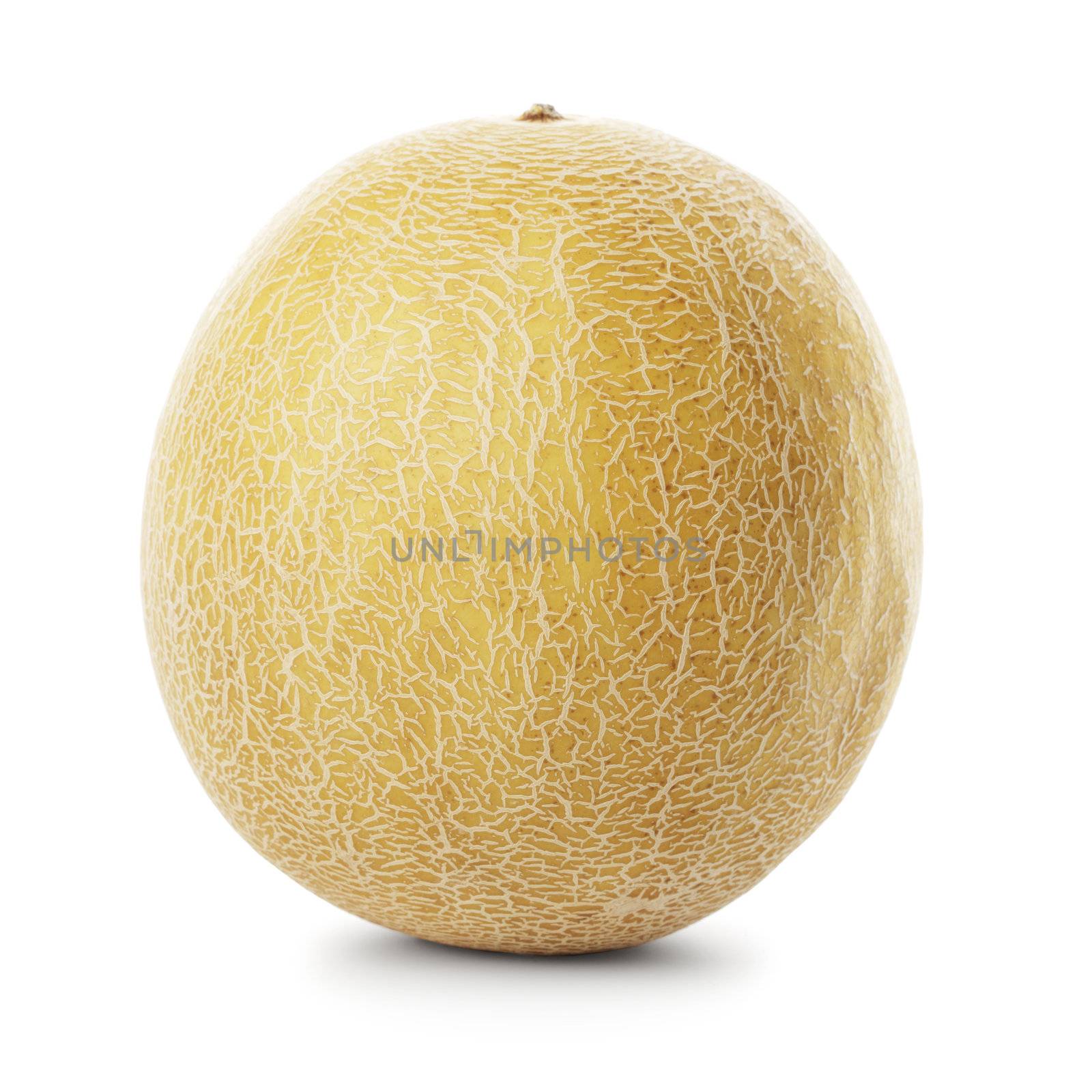 Whole Galia melon isolated on white with shadow