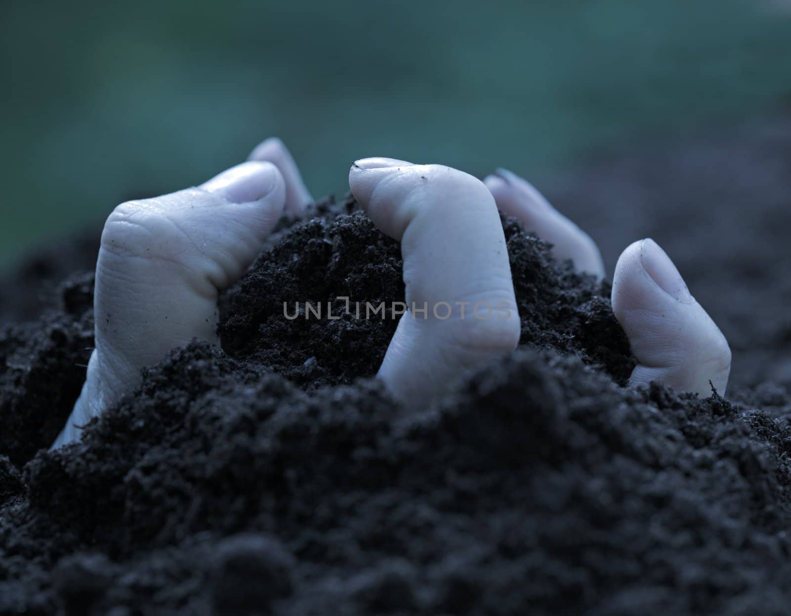 Hand emerging from the ground trough the soil