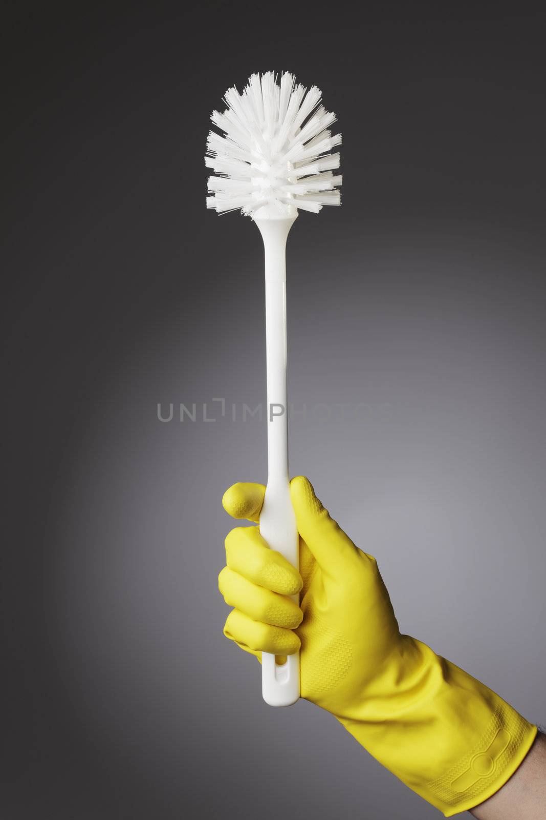 A gloved hand holding a clean toilet brush