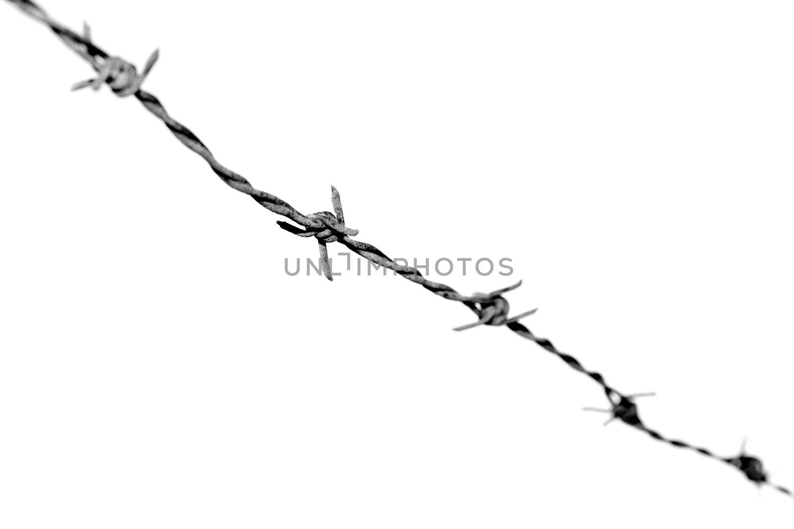 Black & white photograph of barbed wire. Shallow depth-of-field