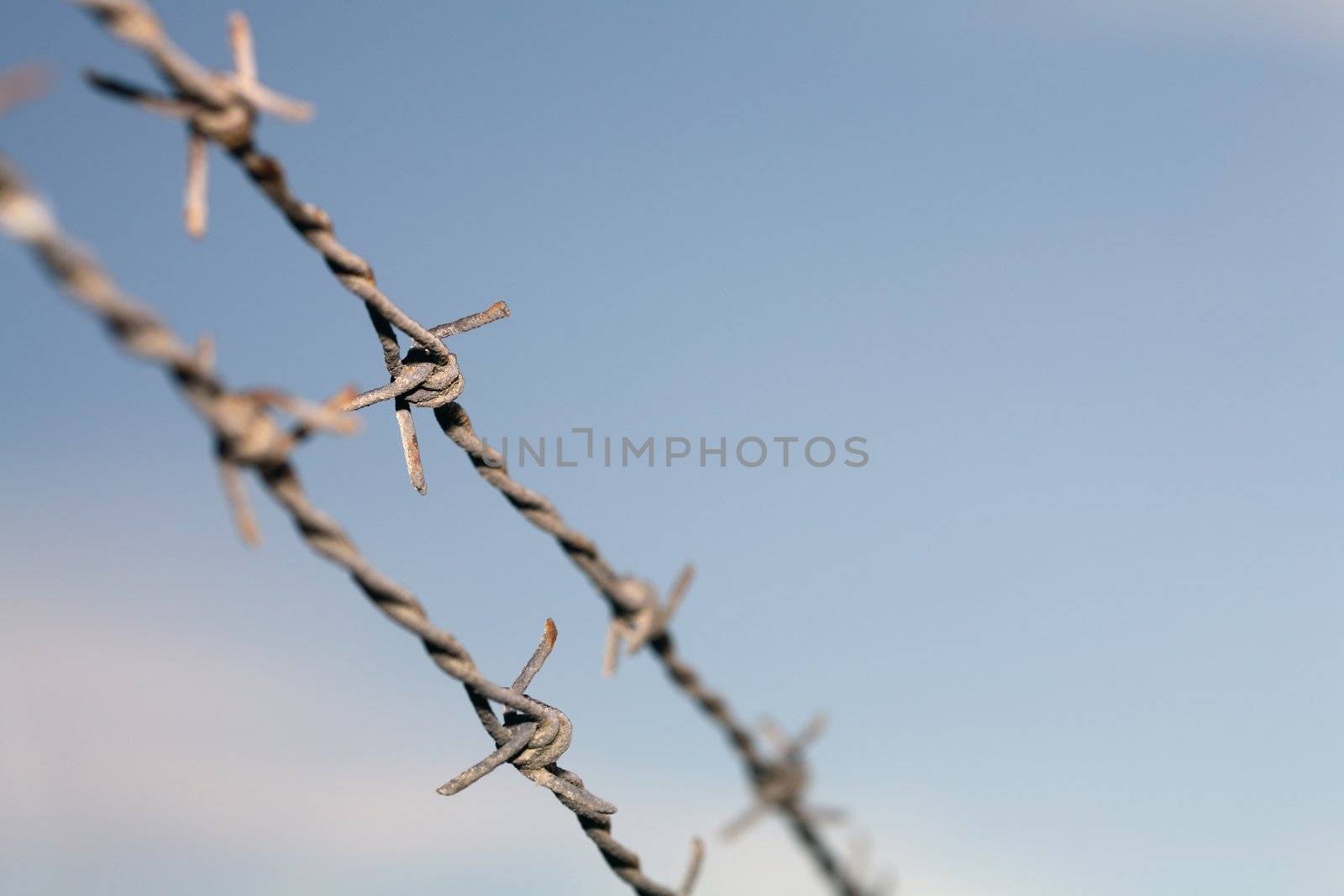 Old barbwire against blue sky
