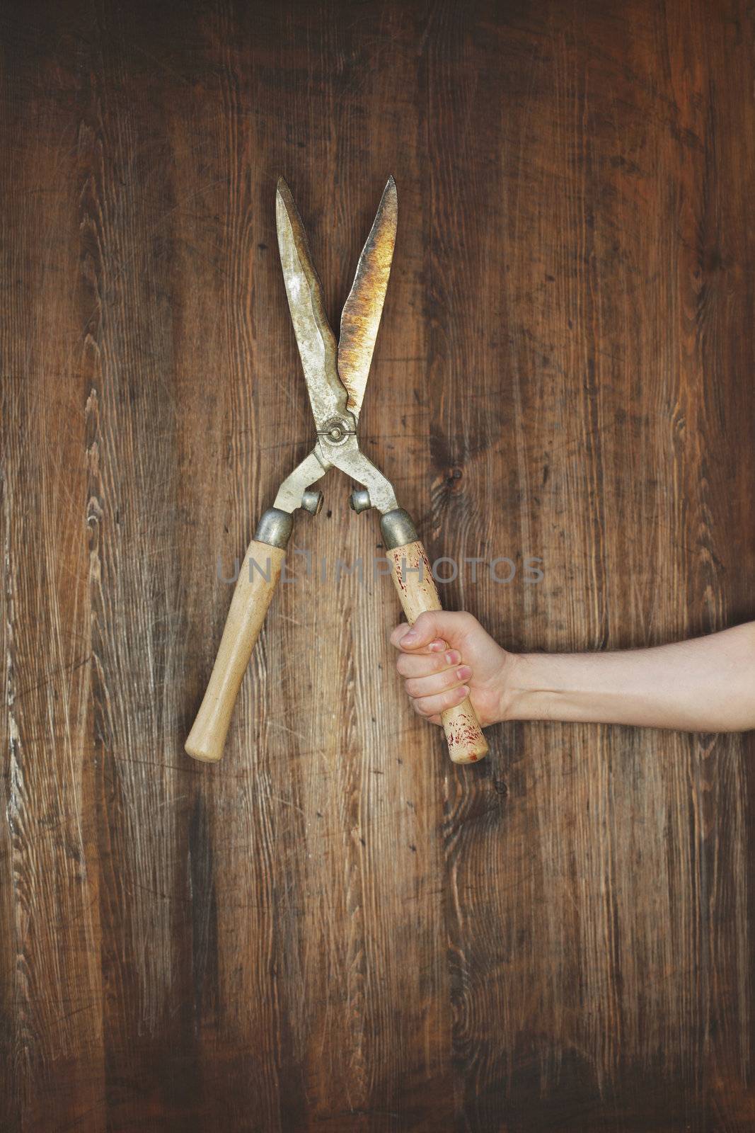 Man holding old manual hedge trimmer in front of wooden background.