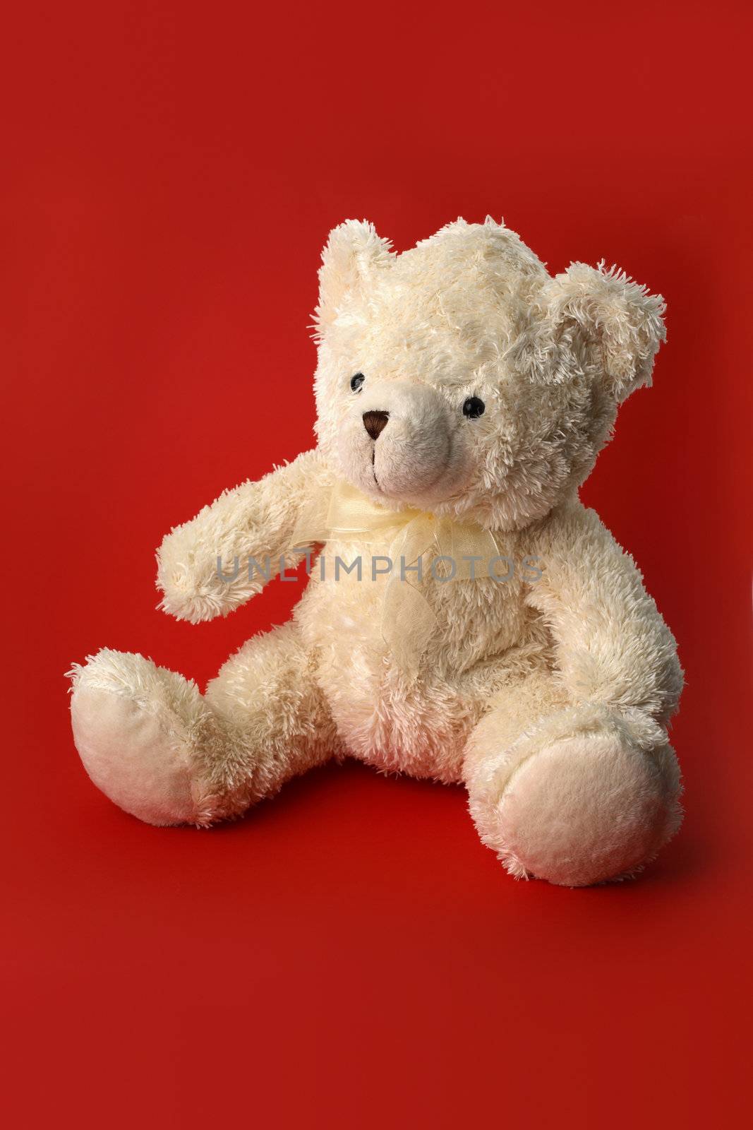 White teddy bear on red