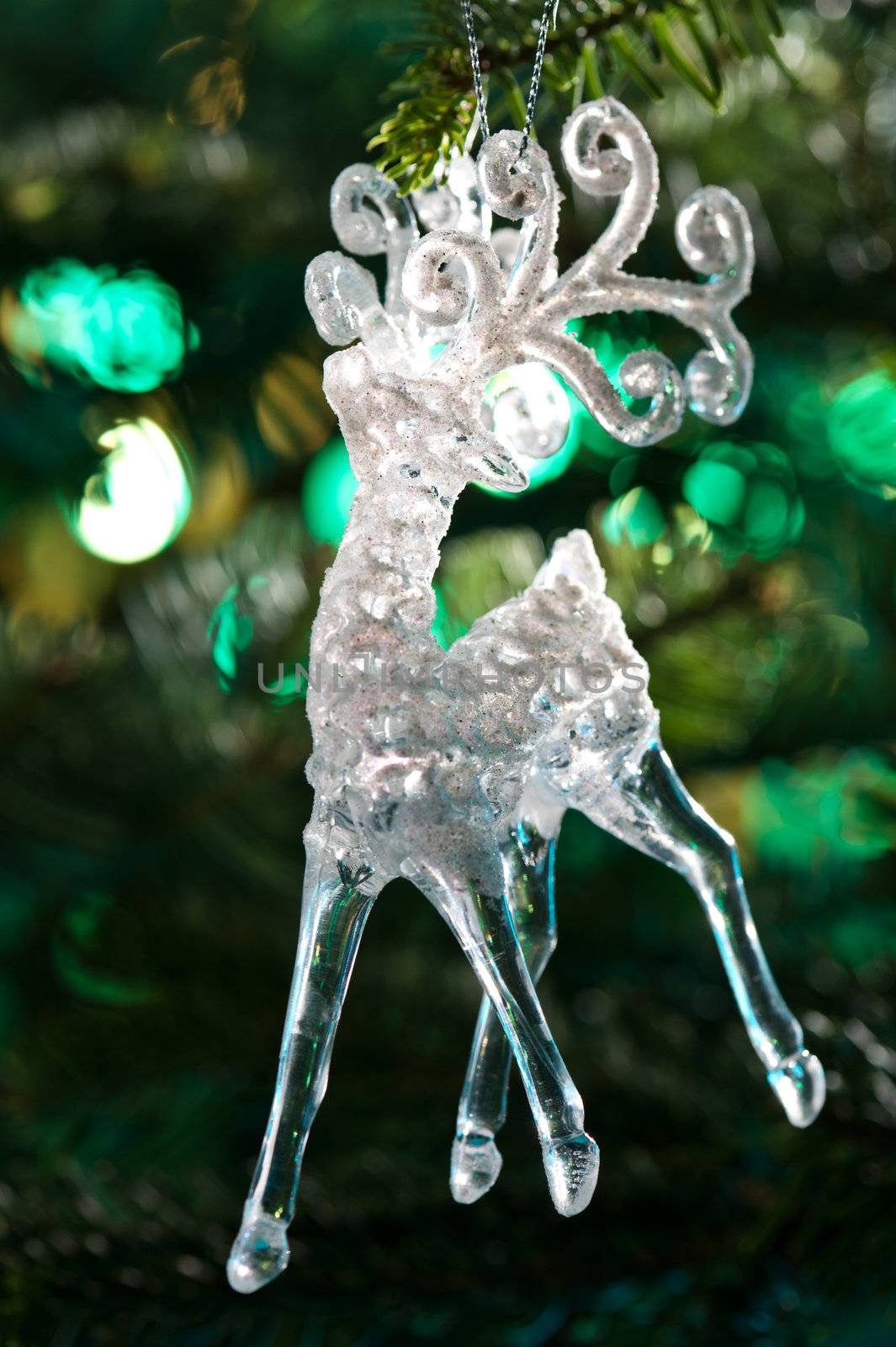 Decorative Chrystal moose shape ornament in a Christmas tree 