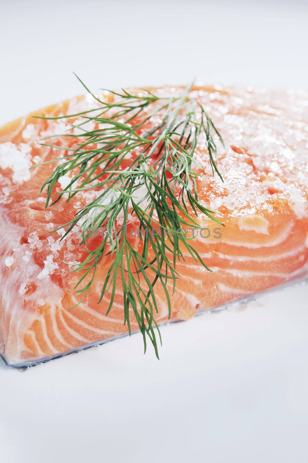 Scandinavian cuisine. Sugar and salt cured salmon "gravlax" with dill