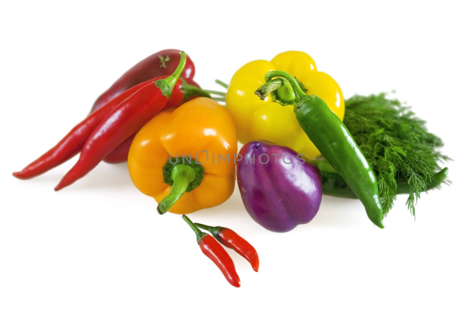 fresh juicy vegetables on white background by Serp