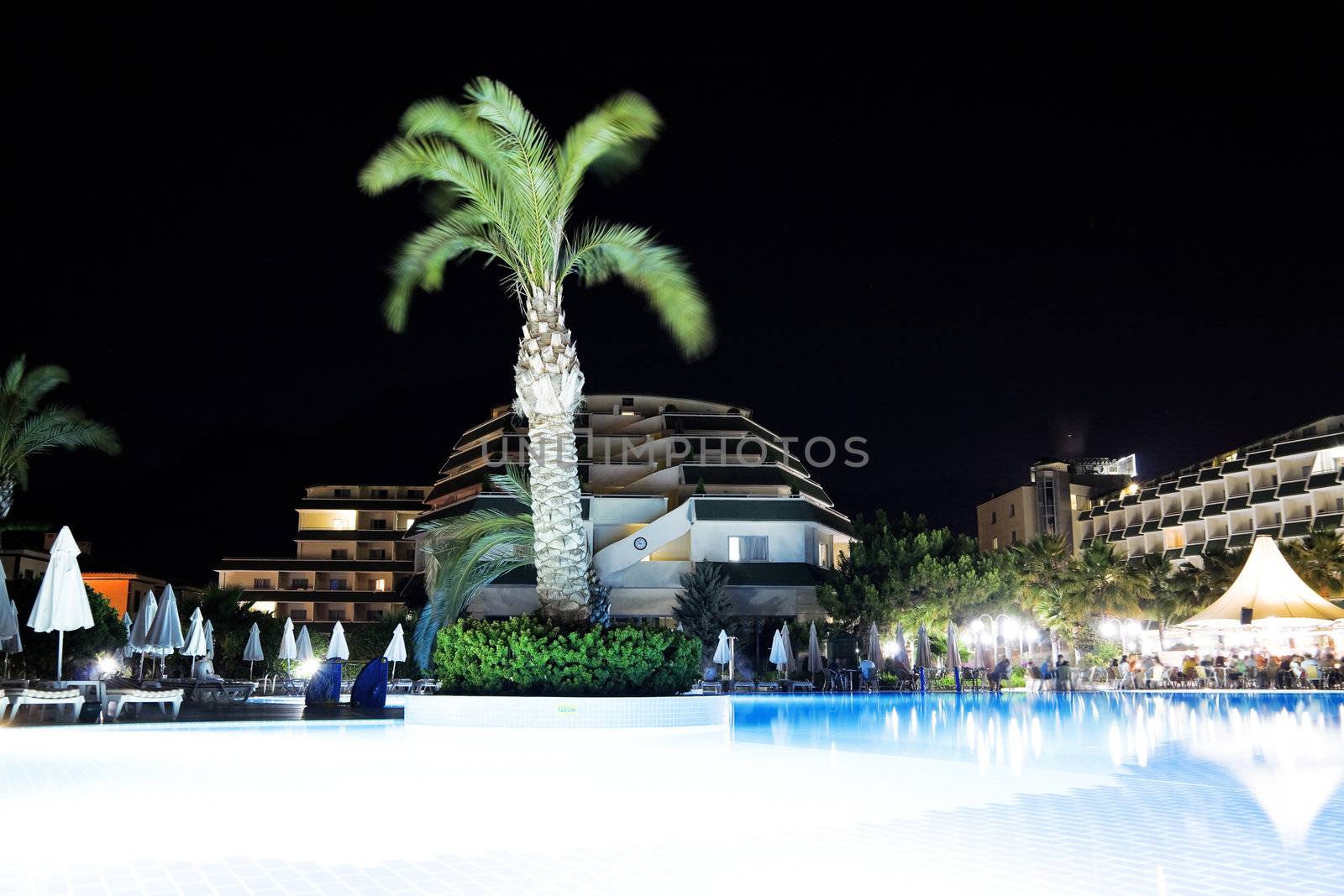 palm near pool at summer night by Serp