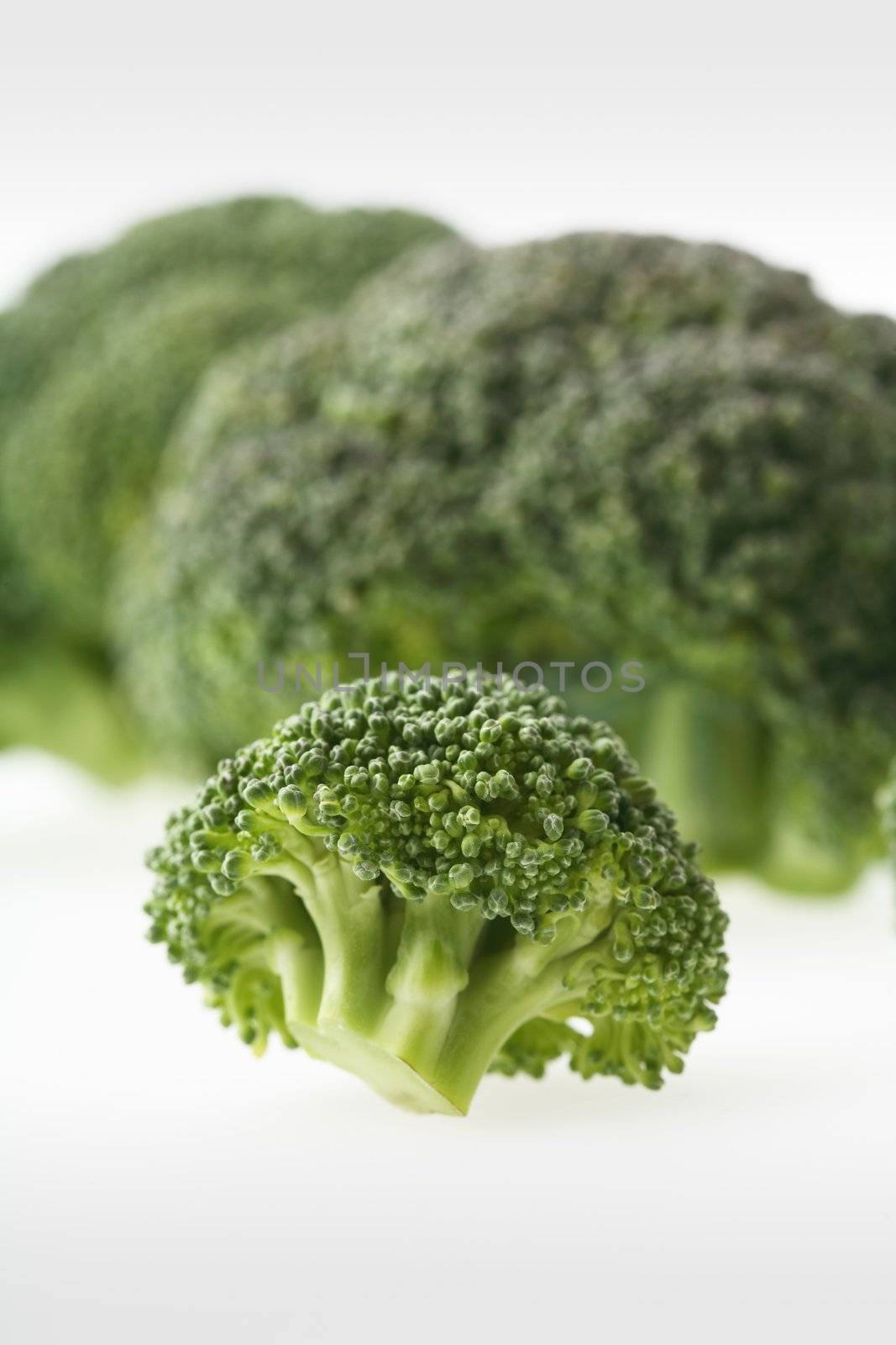 Broccoli by Stocksnapper