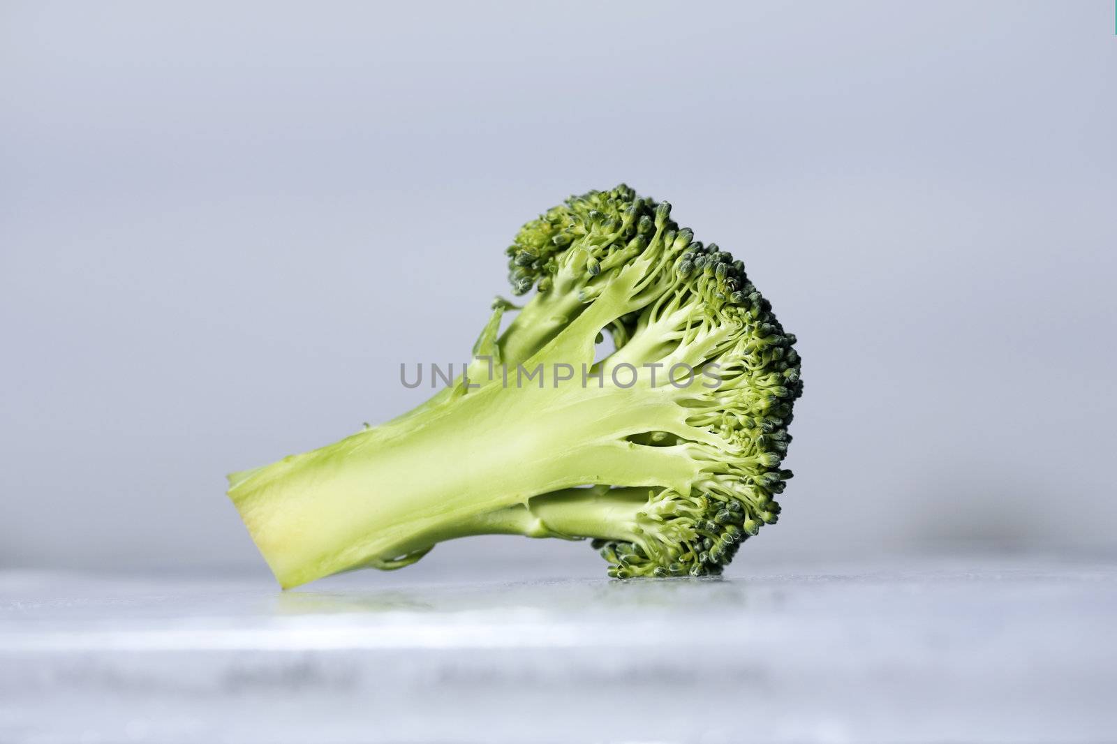 Cool broccoli by Stocksnapper