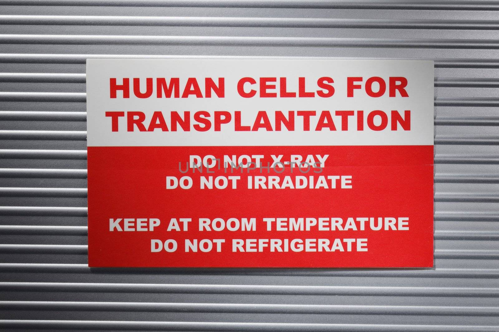 Human cells for transplantation by Stocksnapper