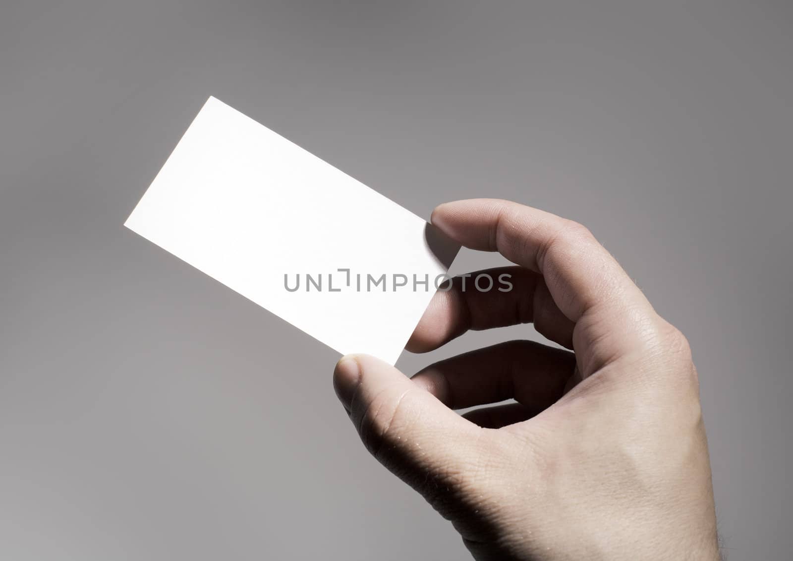 Hand holding a blank business card