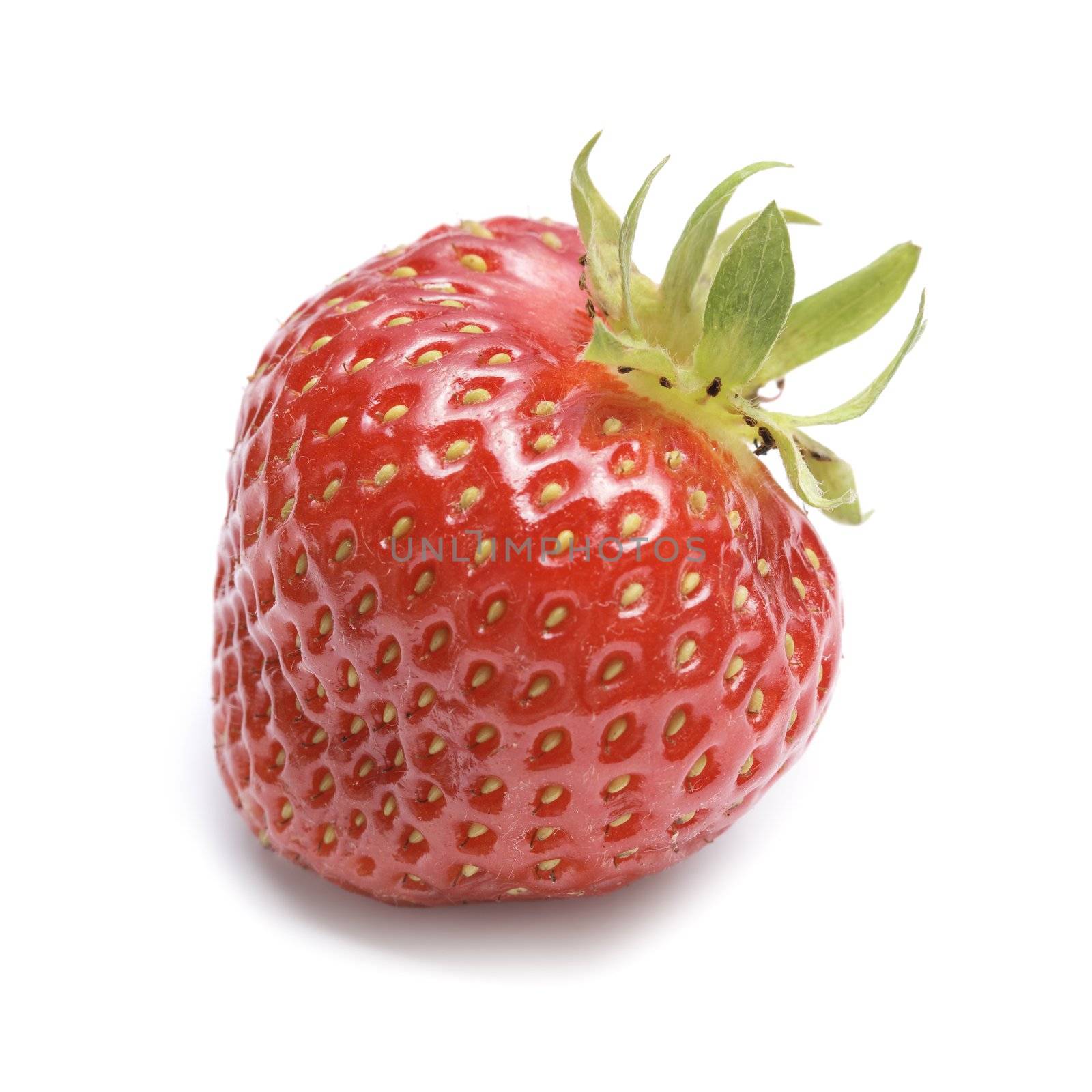 Strawberry isolated on white with shadow