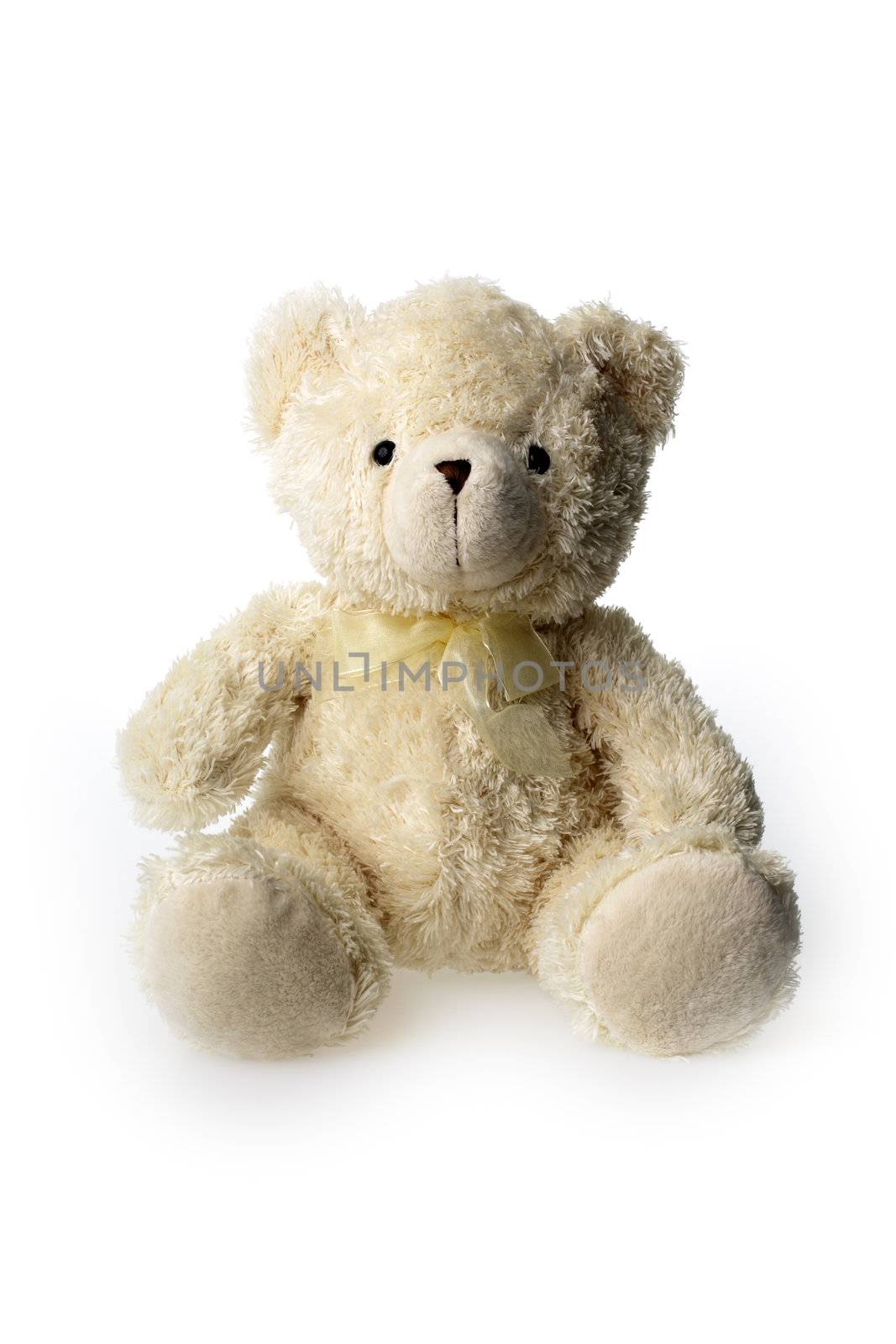 Teddybear by Stocksnapper