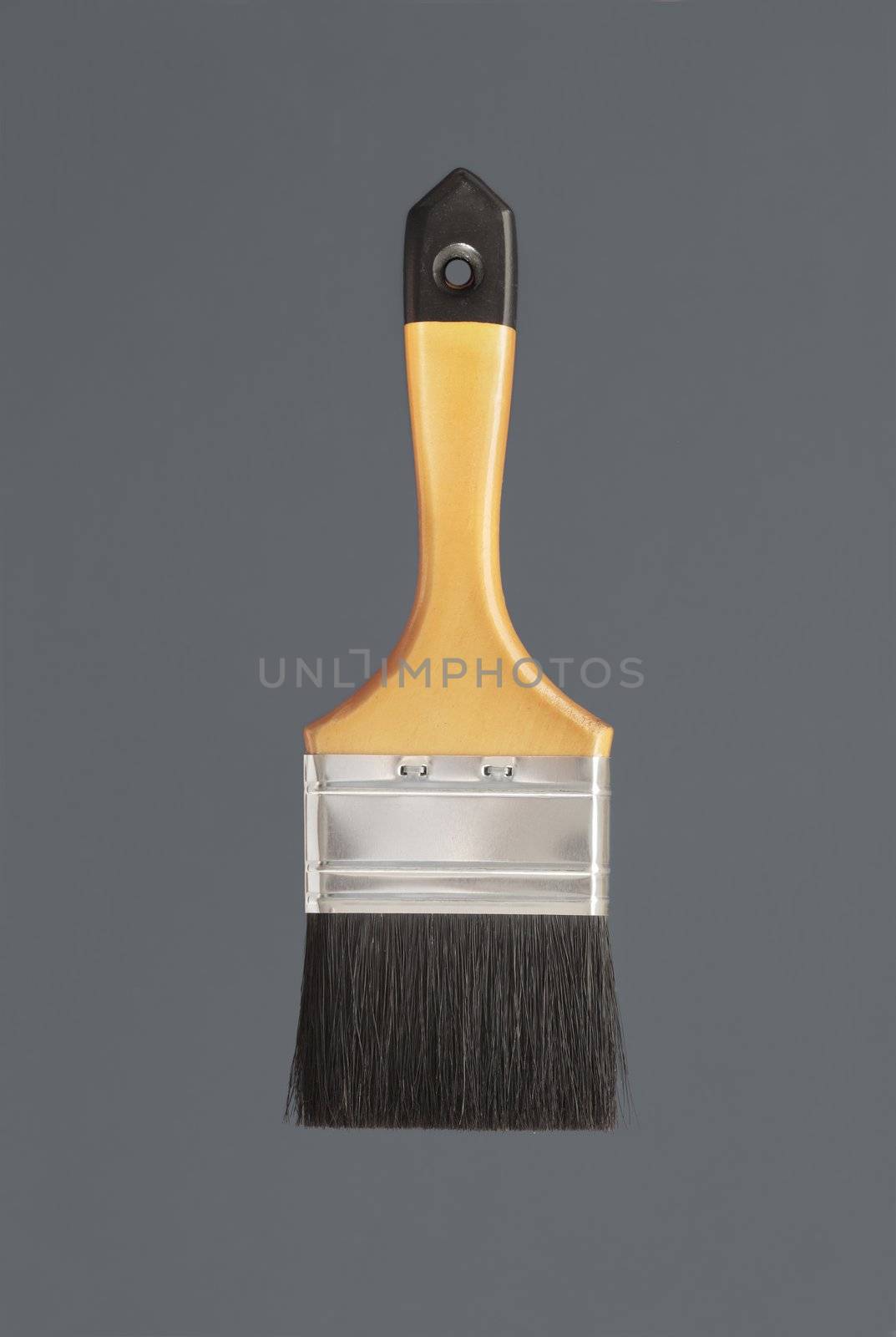 Paint Brush by Stocksnapper