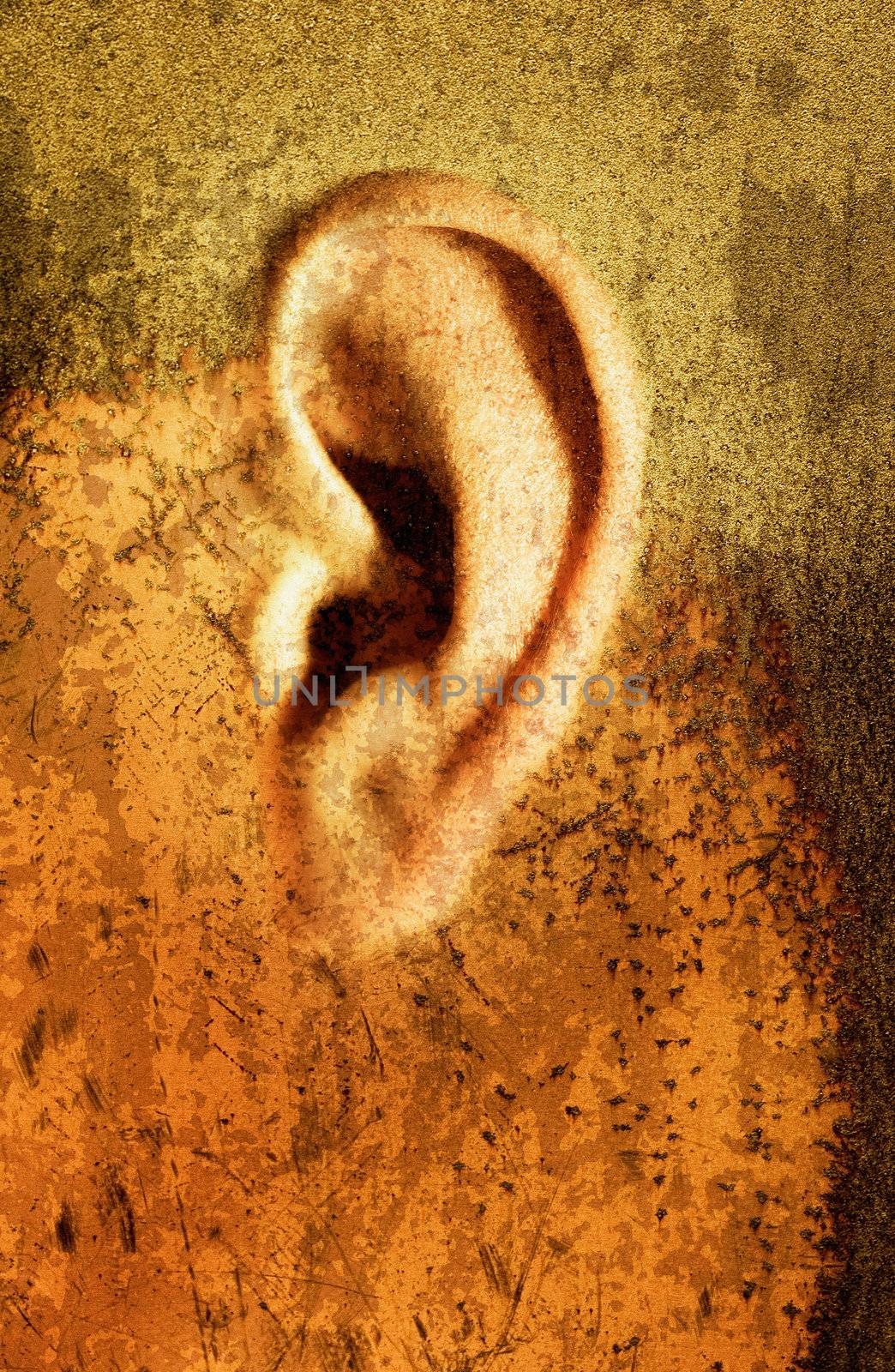 Weird Ear by Stocksnapper