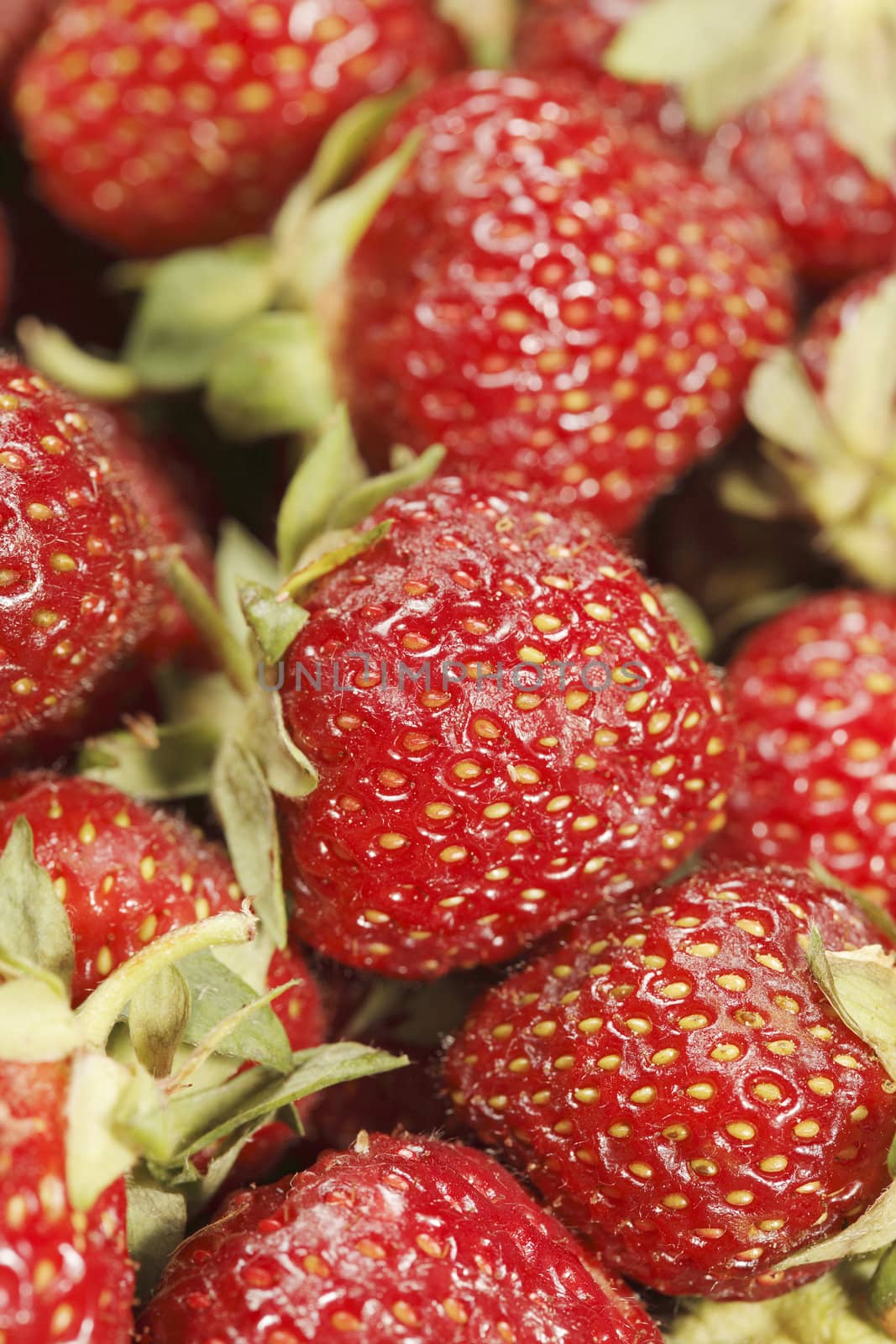 A heap of fresh red strawberries