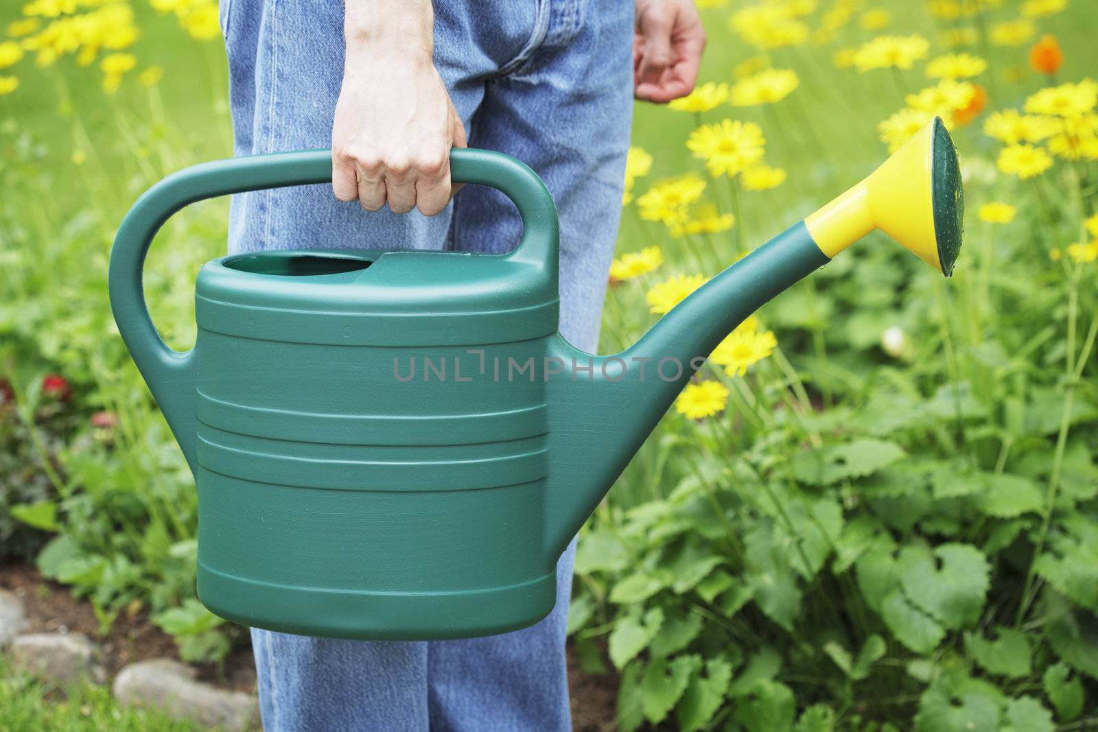 Watering can by Stocksnapper
