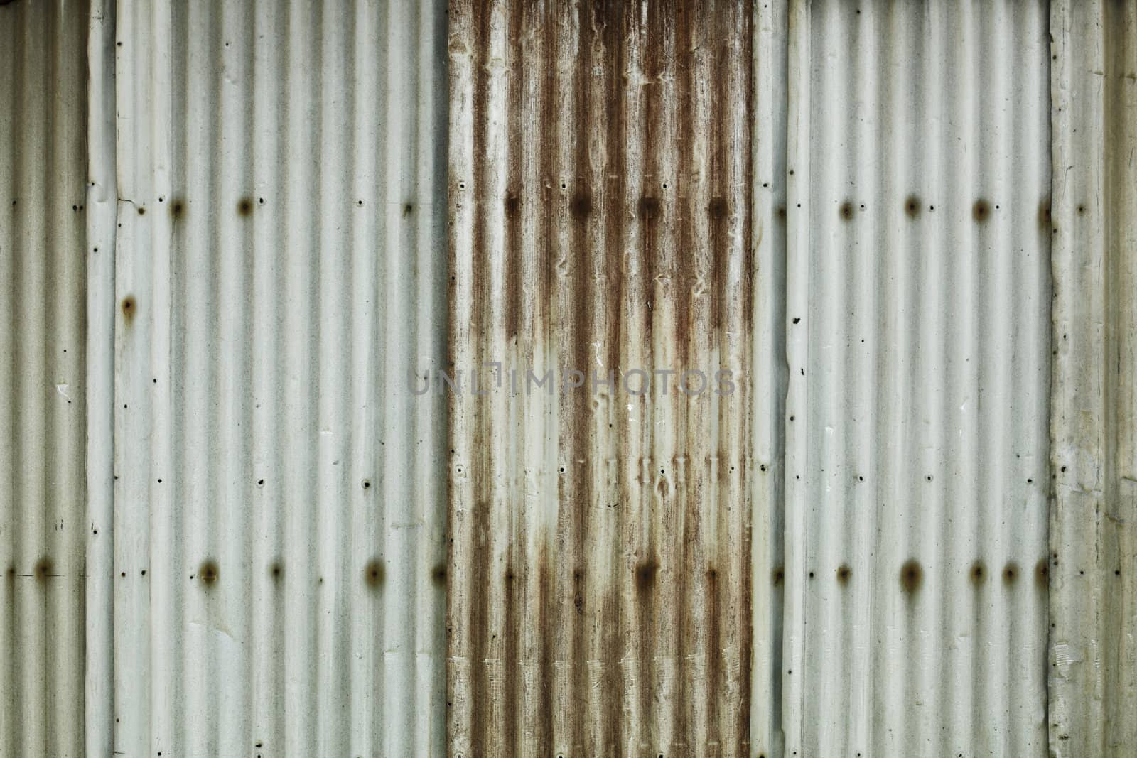Grunge background made of corrugated metal sheets