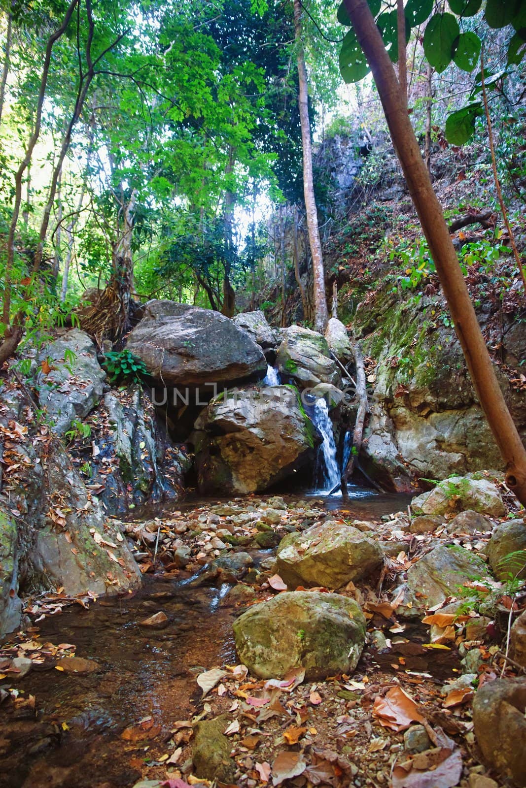 small waterfall in stream by clearviewstock