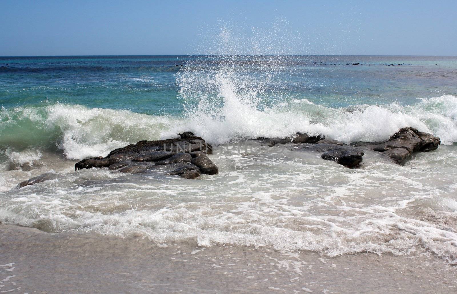 Waves going over cliffs in the atlantic Ocean at Kommetjie Beach, Cape Town, South Africa