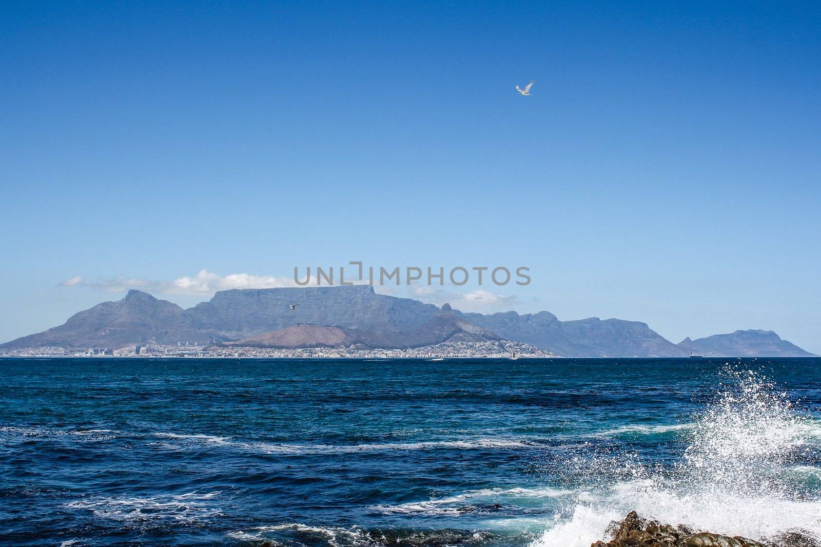 View of Cape Town from Robben Island by dwaschnig_photo