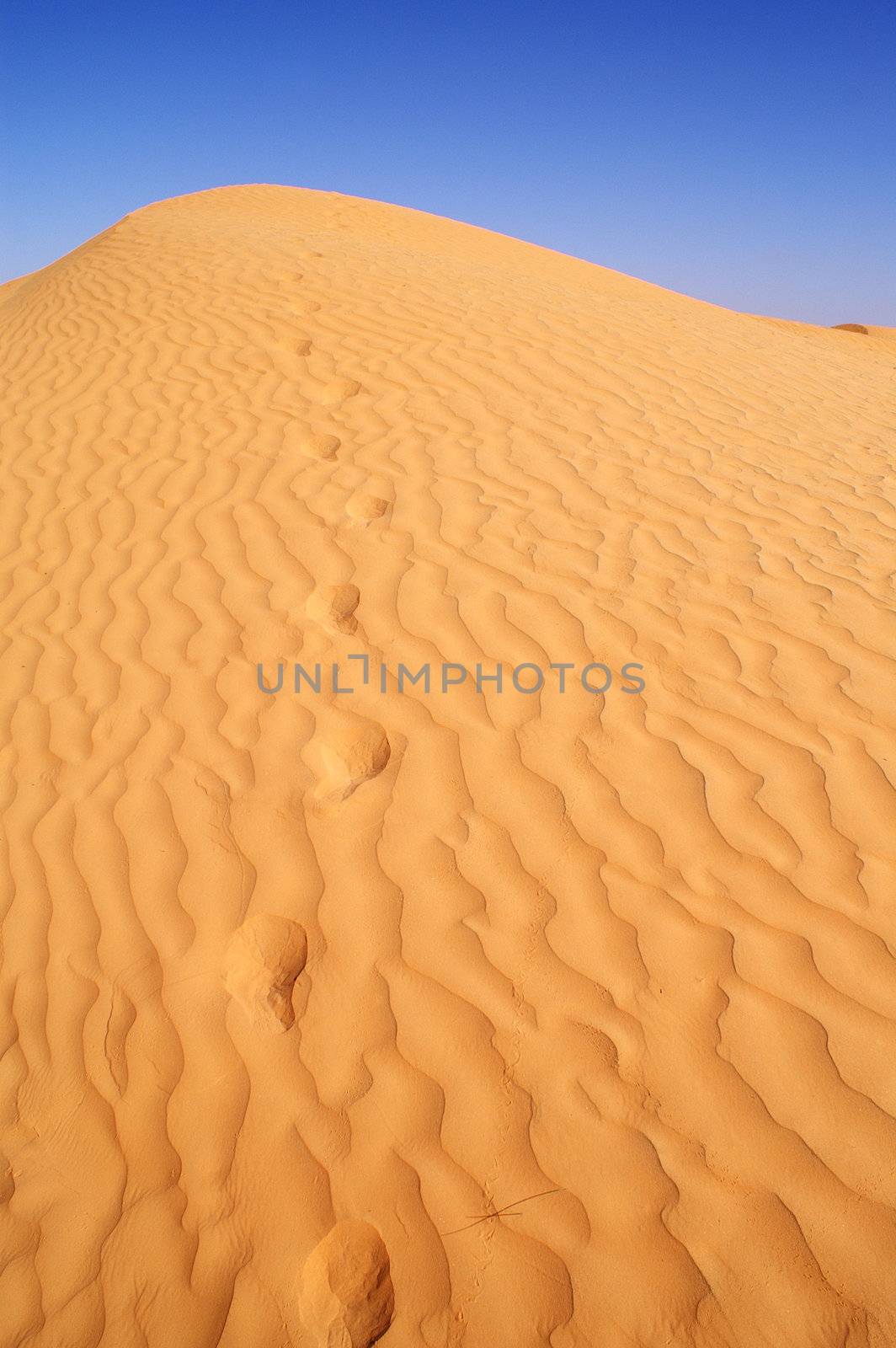 Desert by photochecker