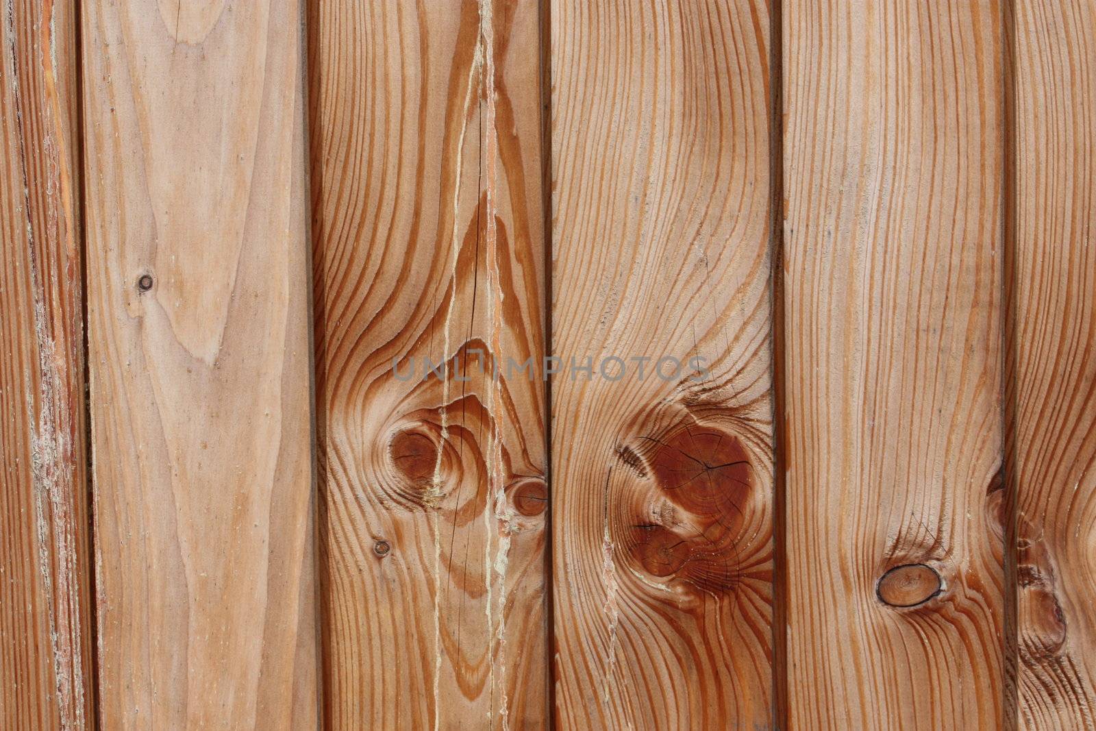 natural wood by photochecker